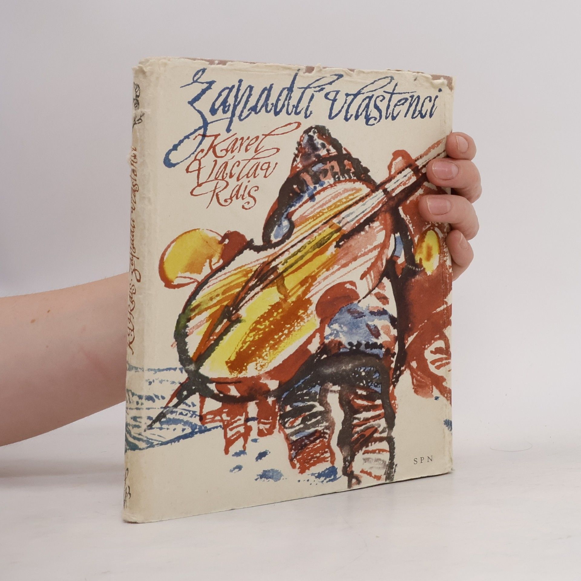 Karel Václav Rais Zapadlí vlastenci