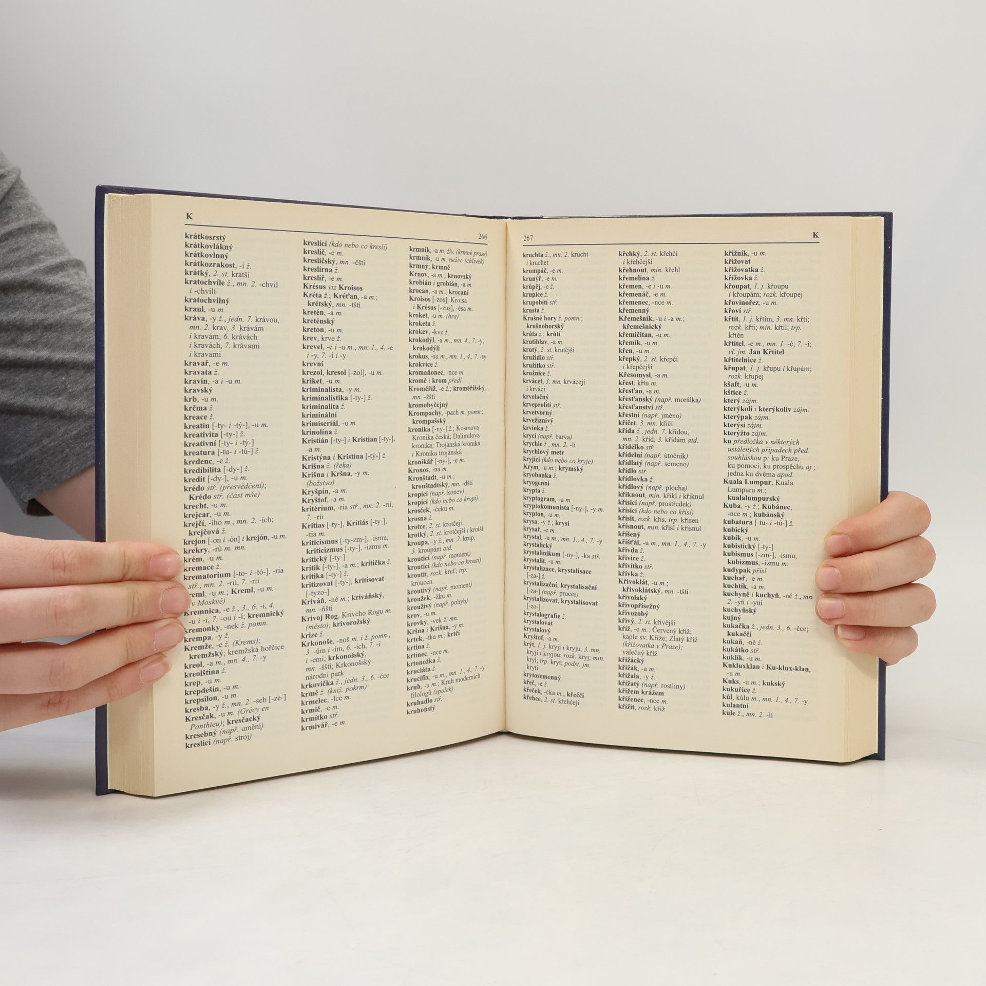 Autorenkollektiv Pravidla českého pravopisu s výkladem mluvnice