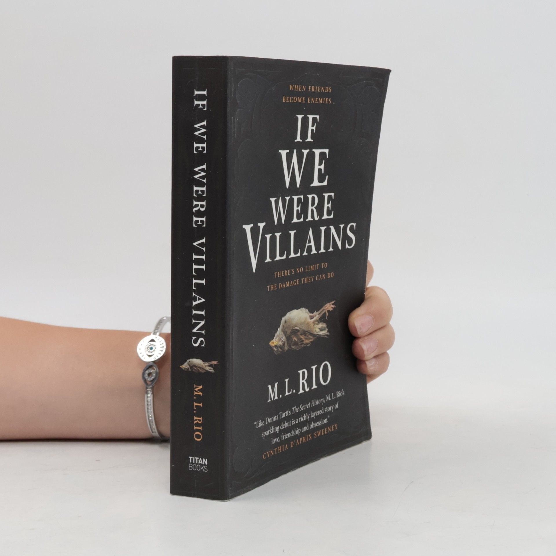 M. L. Rio If We Were Villains