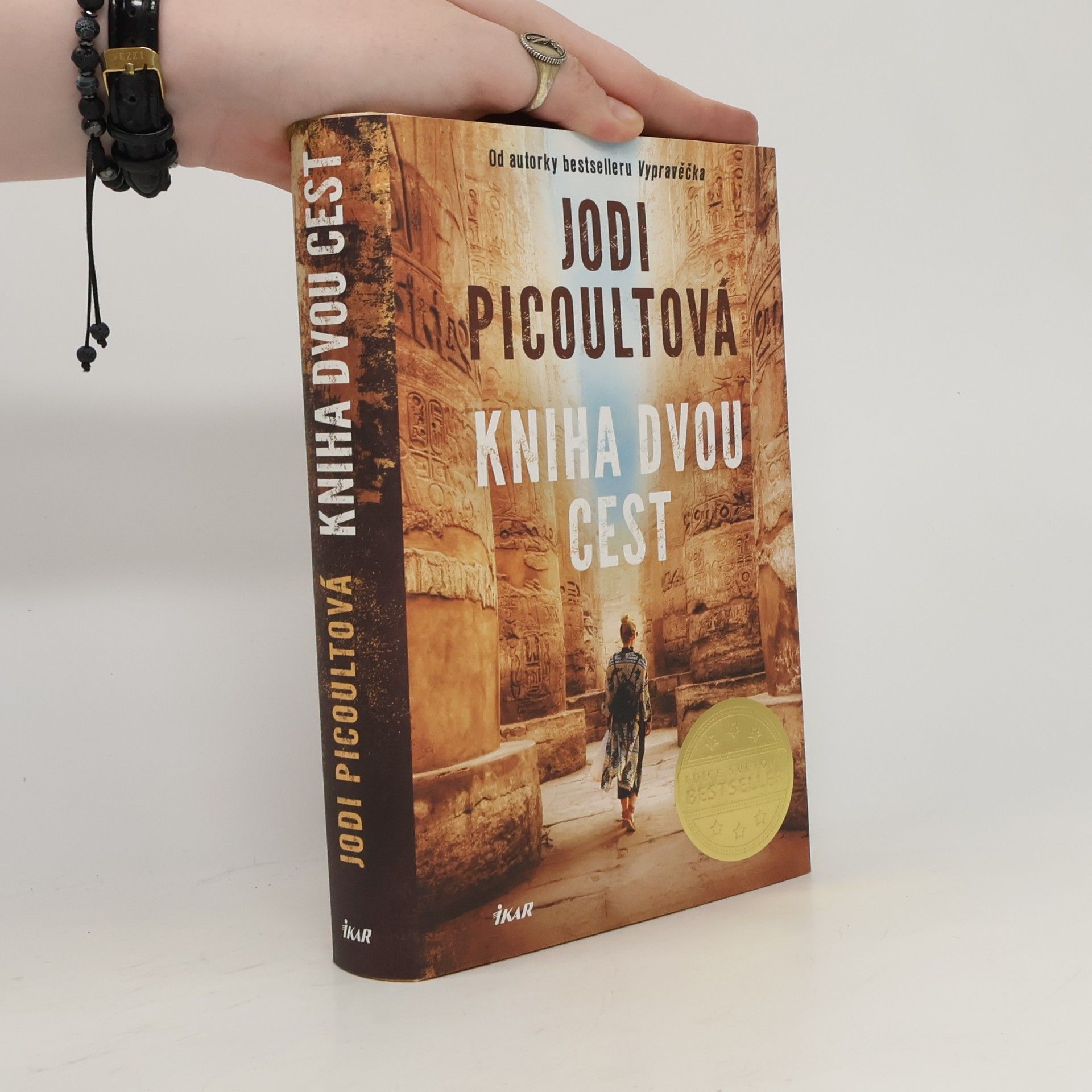 Jodi Picoult Kniha dvou cest
