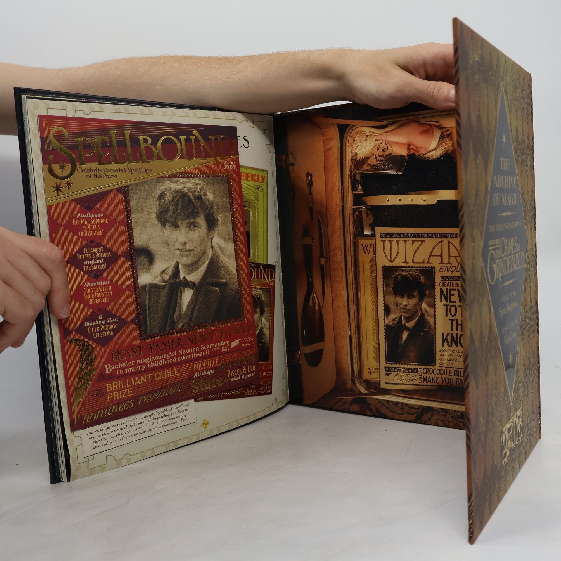 Signe Bergstrom The Archive of Magic