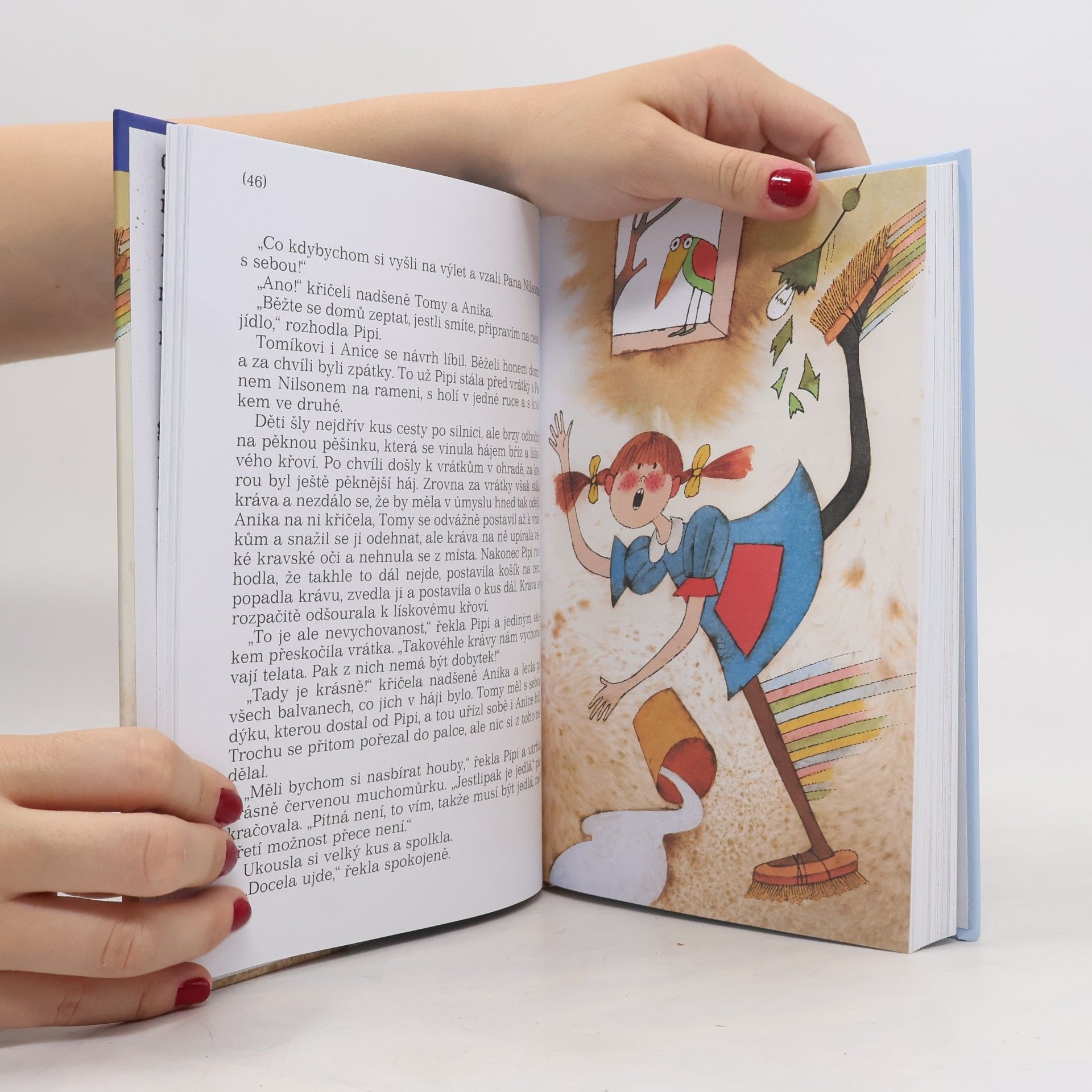 Astrid Lindgren Pipi Dlouhá punčocha