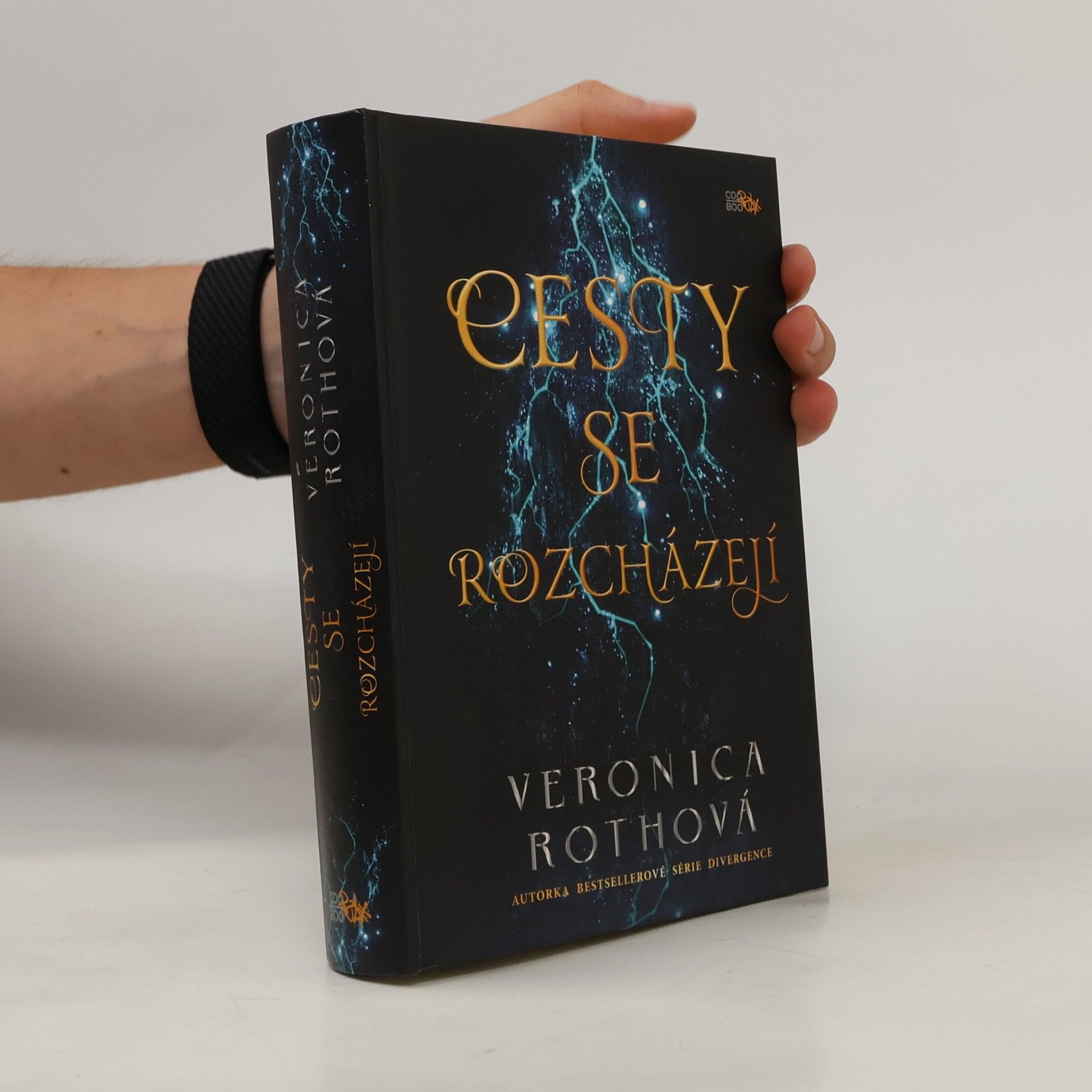 Veronica Roth Cesty se rozcházejí