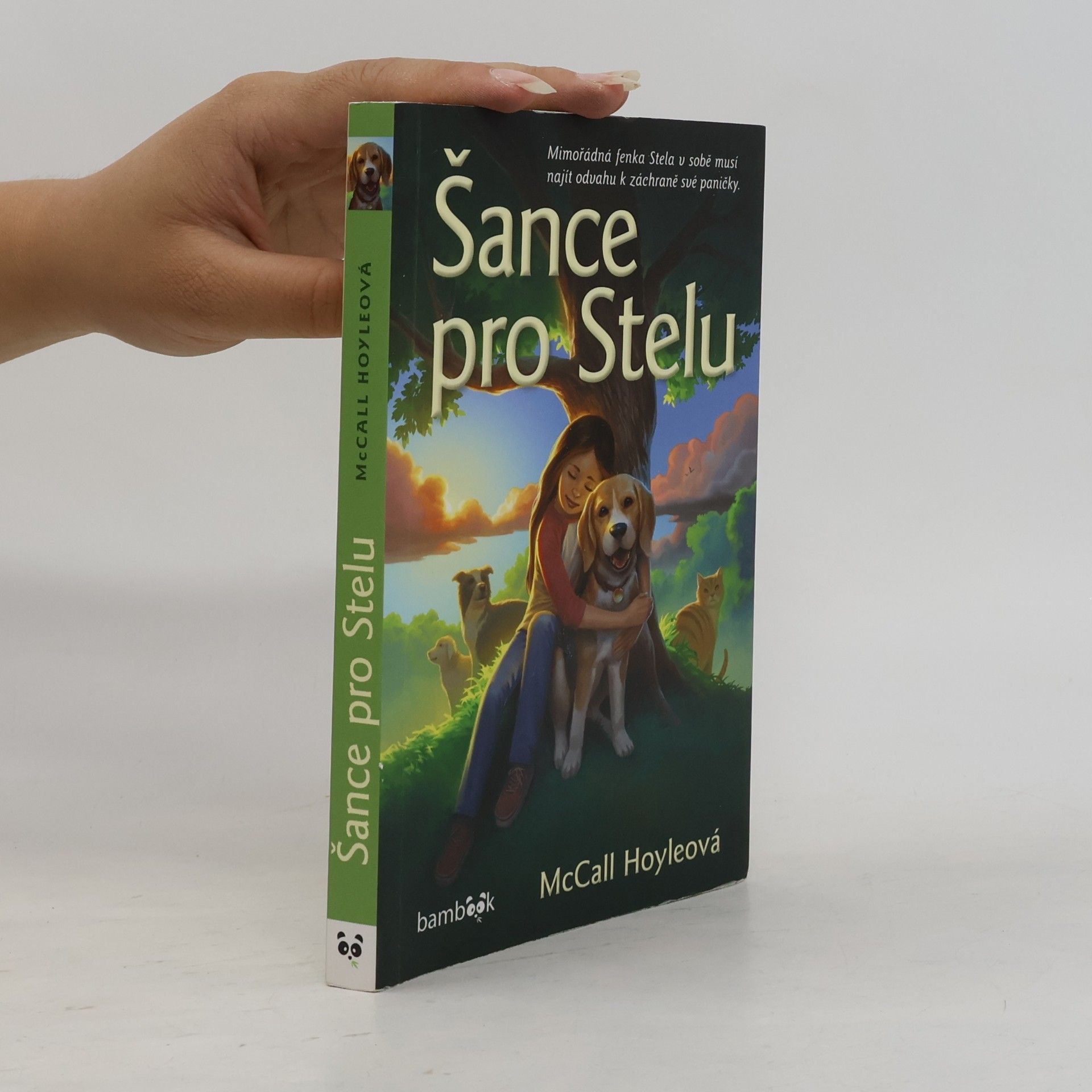 McCall Hoyle Šance pro Stelu