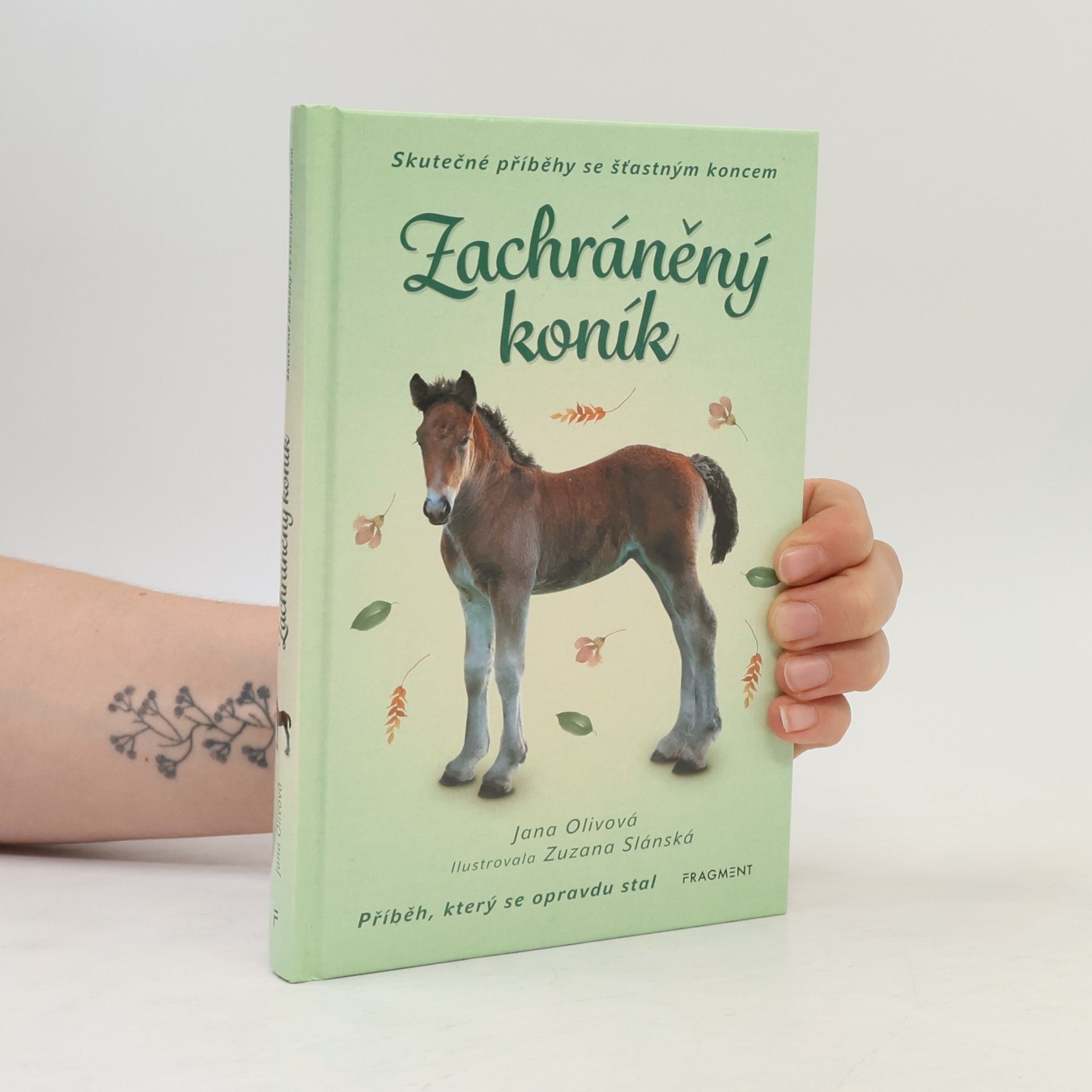 Jana Olivová Zachráněný koník