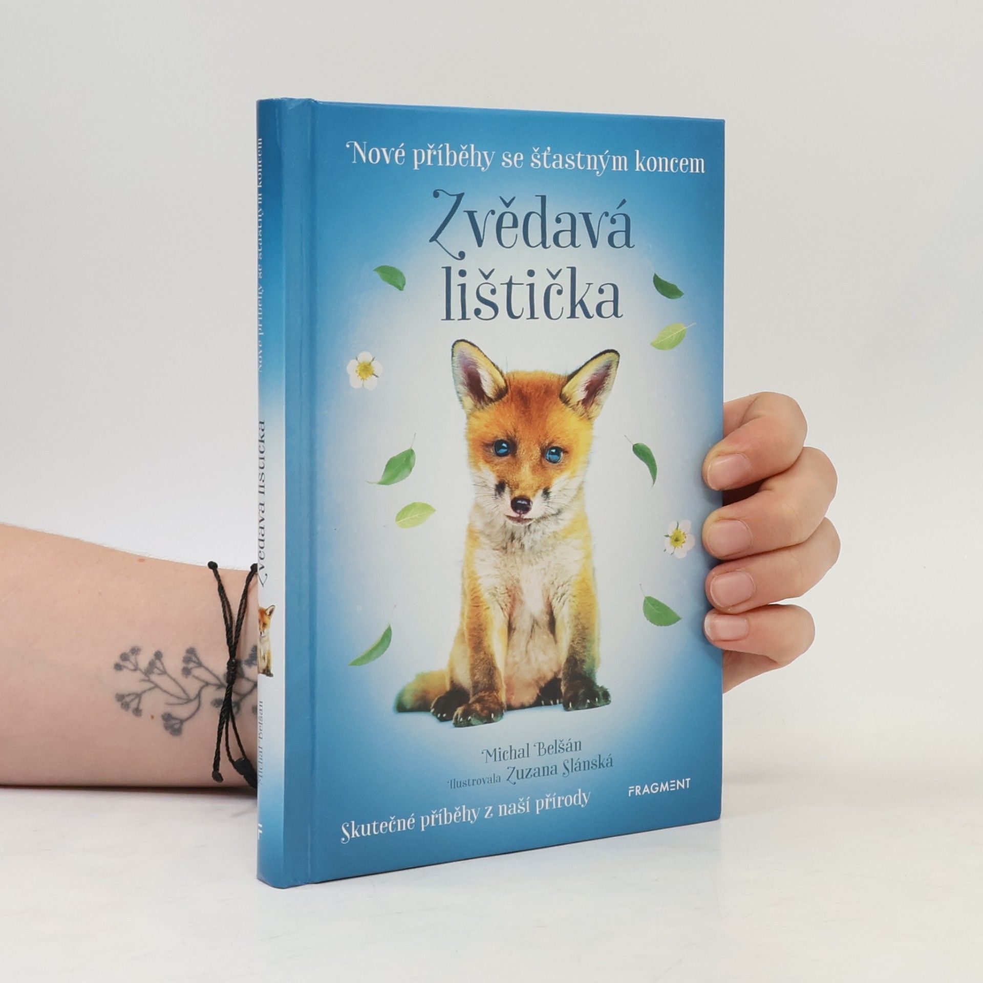 Michal Belšán Zvědavá lištička