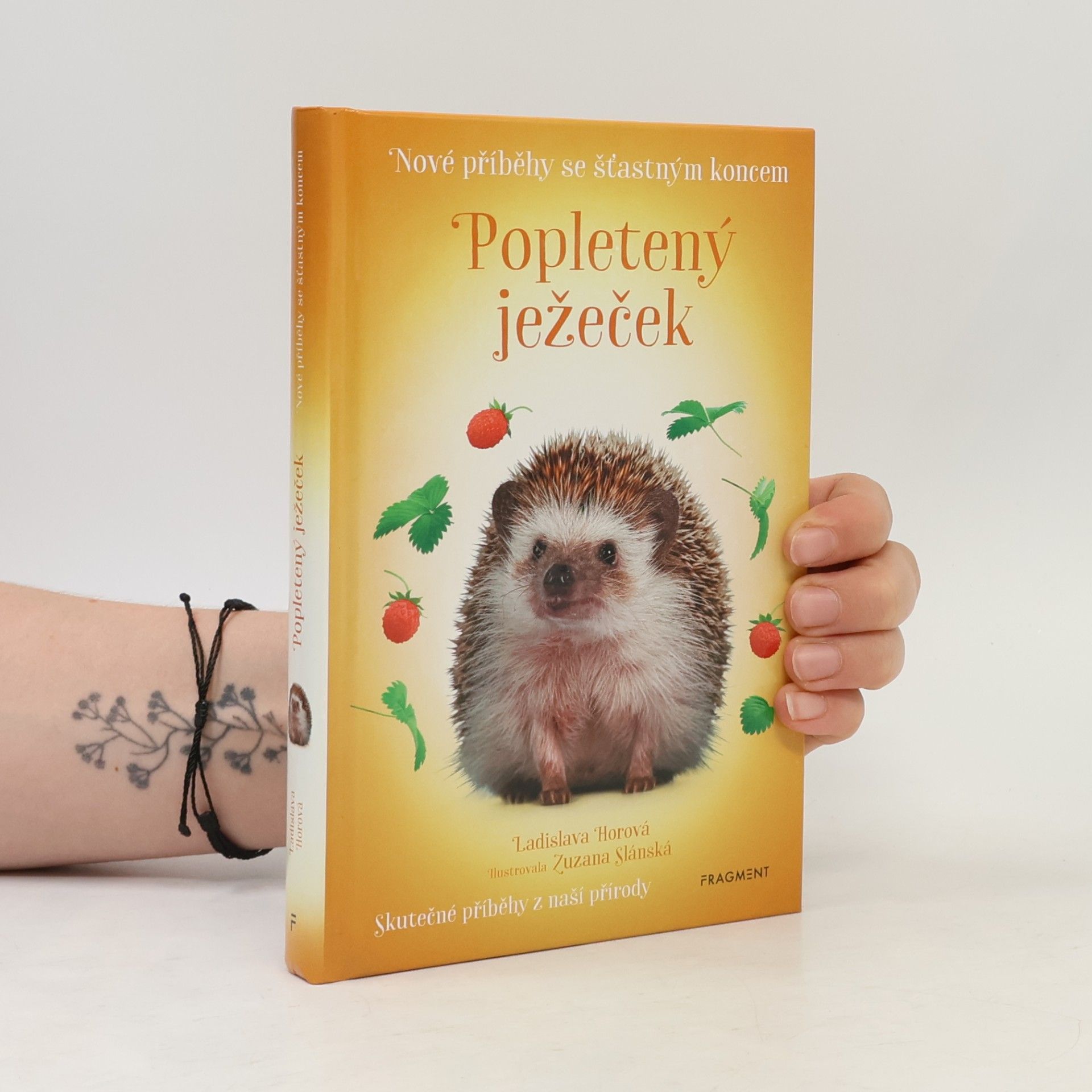 Popletený ježeček