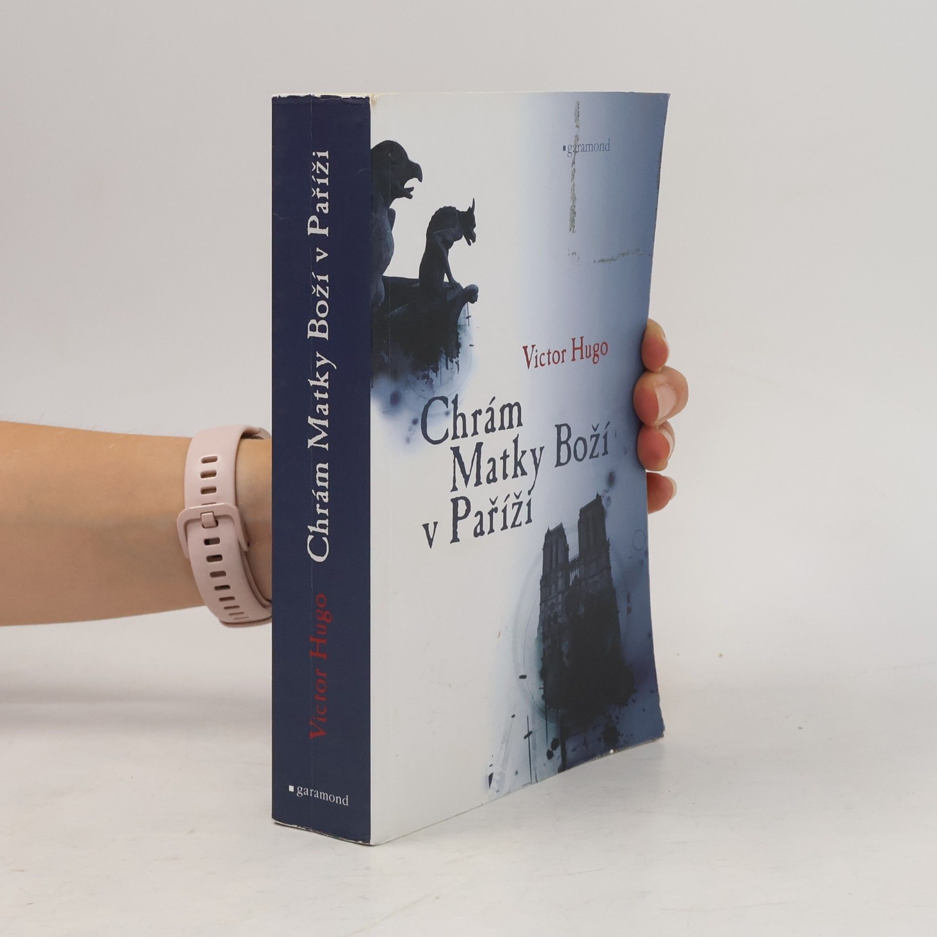 Victor Hugo Chrám Matky Boží v Paříži