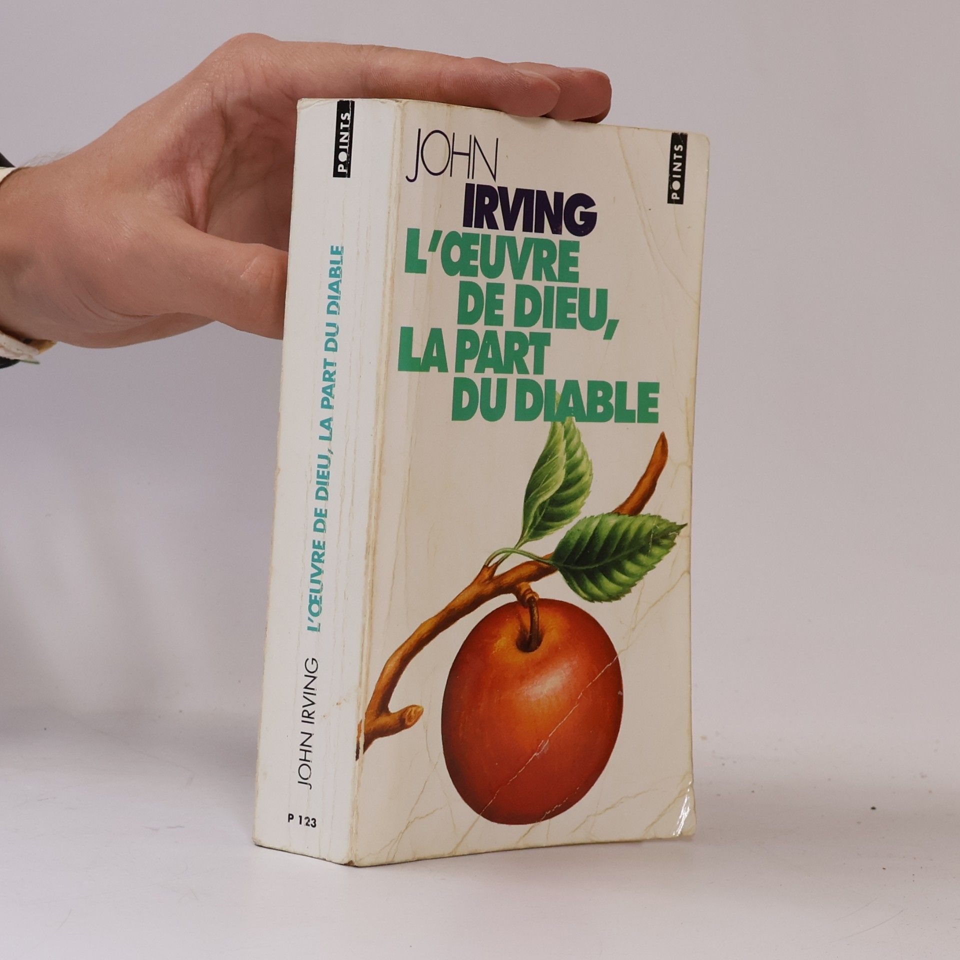 John Irving L'Œuvre de Dieu, la part du Diable