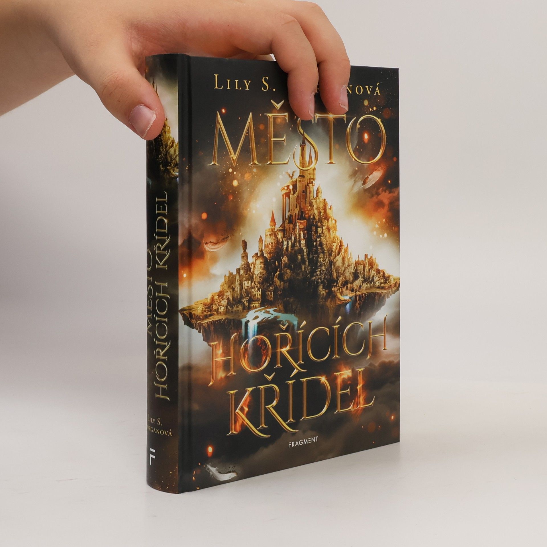 Lily S Morgan Město hořících křídel