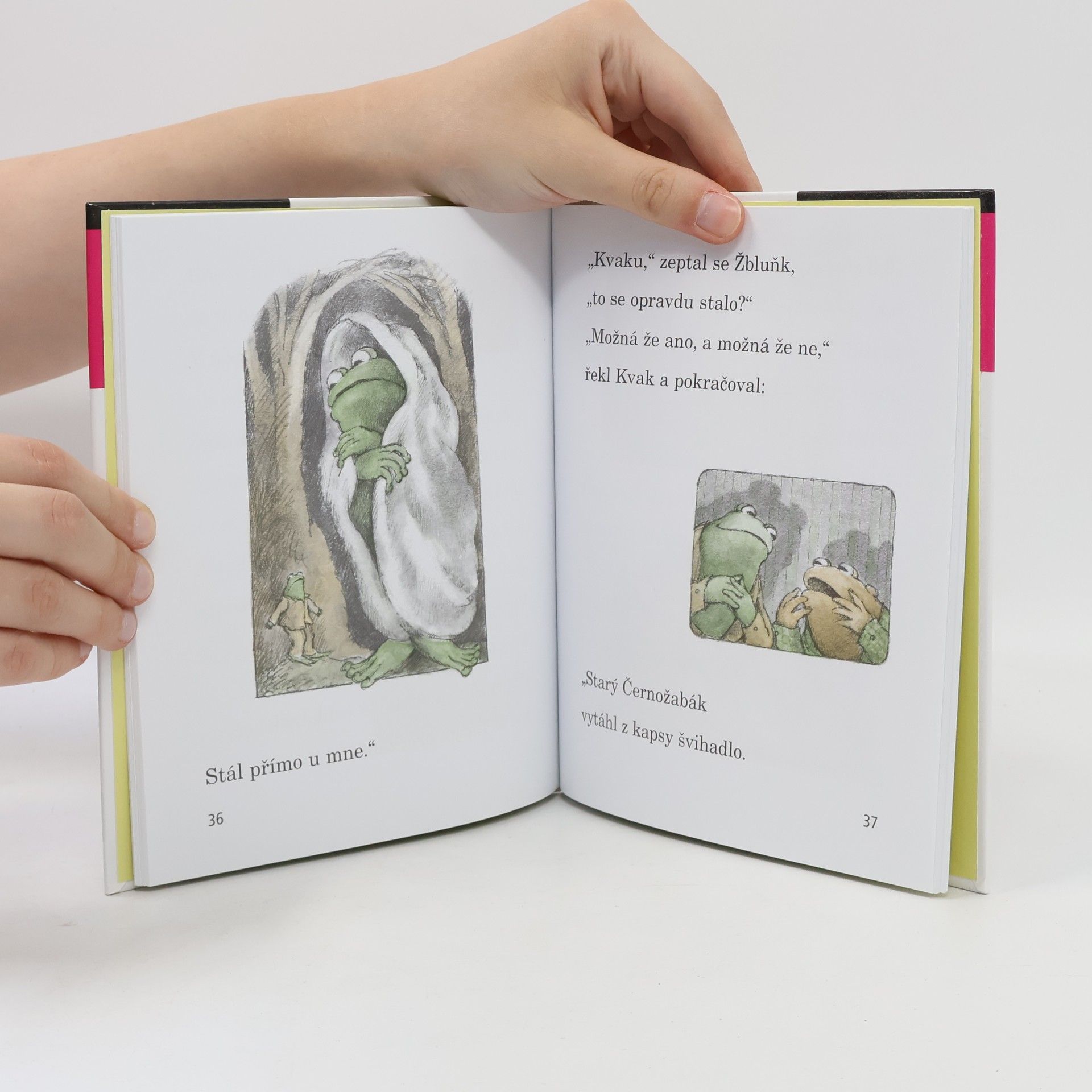 Arnold Lobel Kvak a Žbluňk se bojí rádi