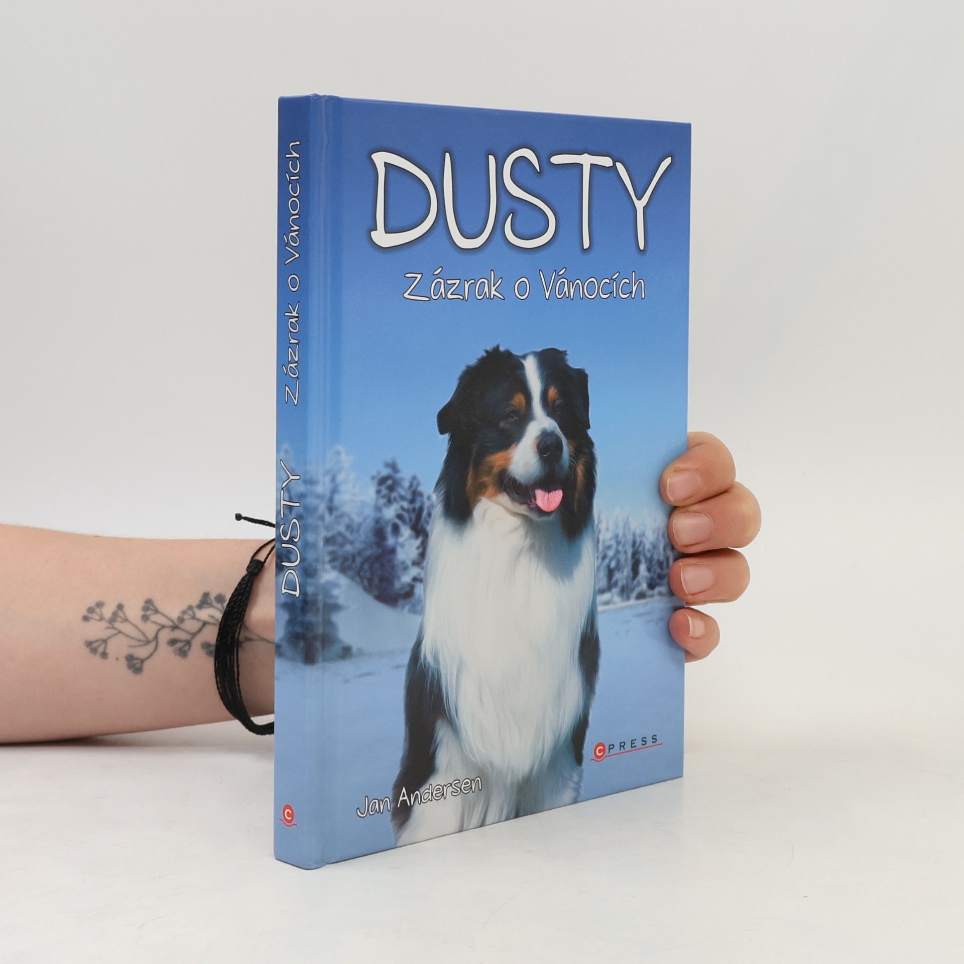 Wolfram Hänel Dusty: Zázrak o Vánocích