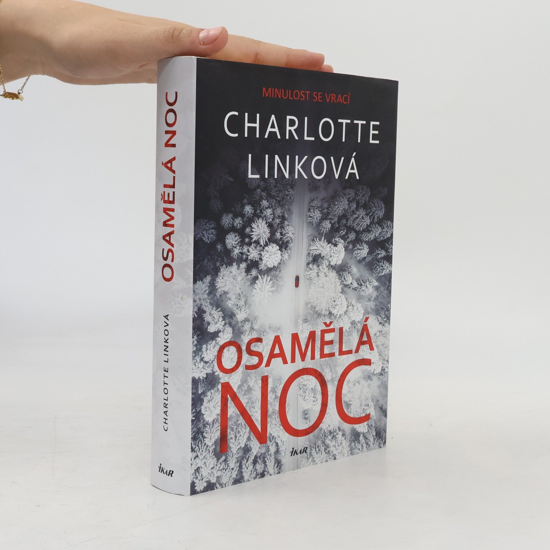 Charlotte Link Osamělá noc