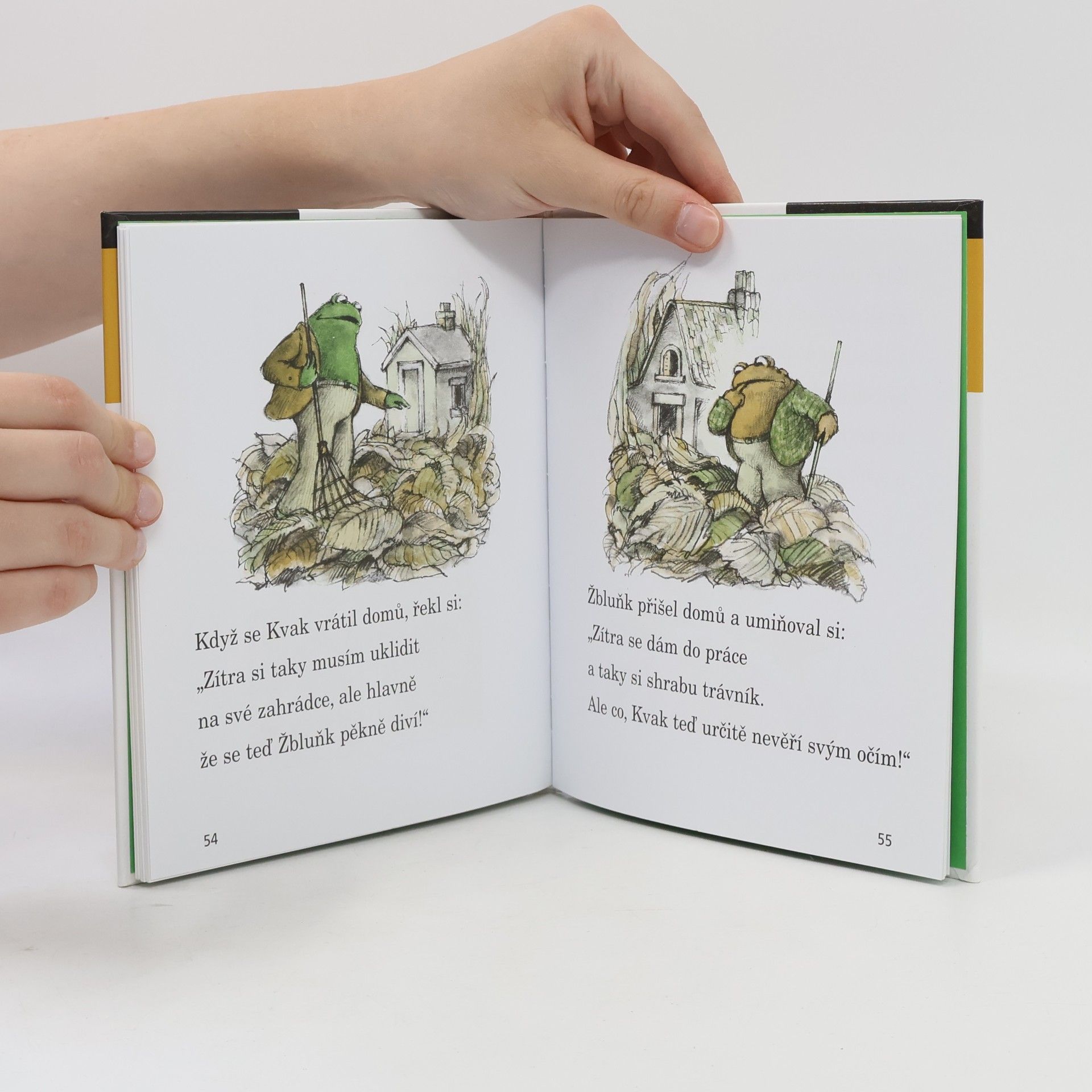 Arnold Lobel Kvak a Žbluňk od jara do Vánoc