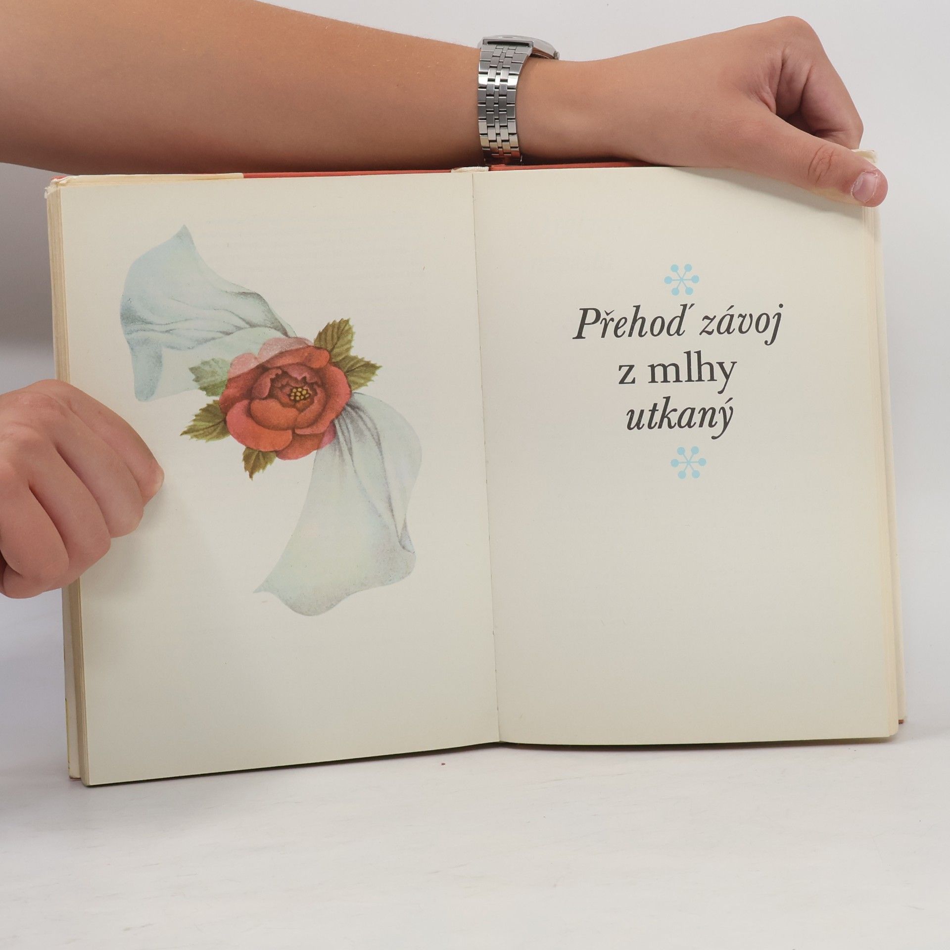 Autorenkollektiv Světové pohádky