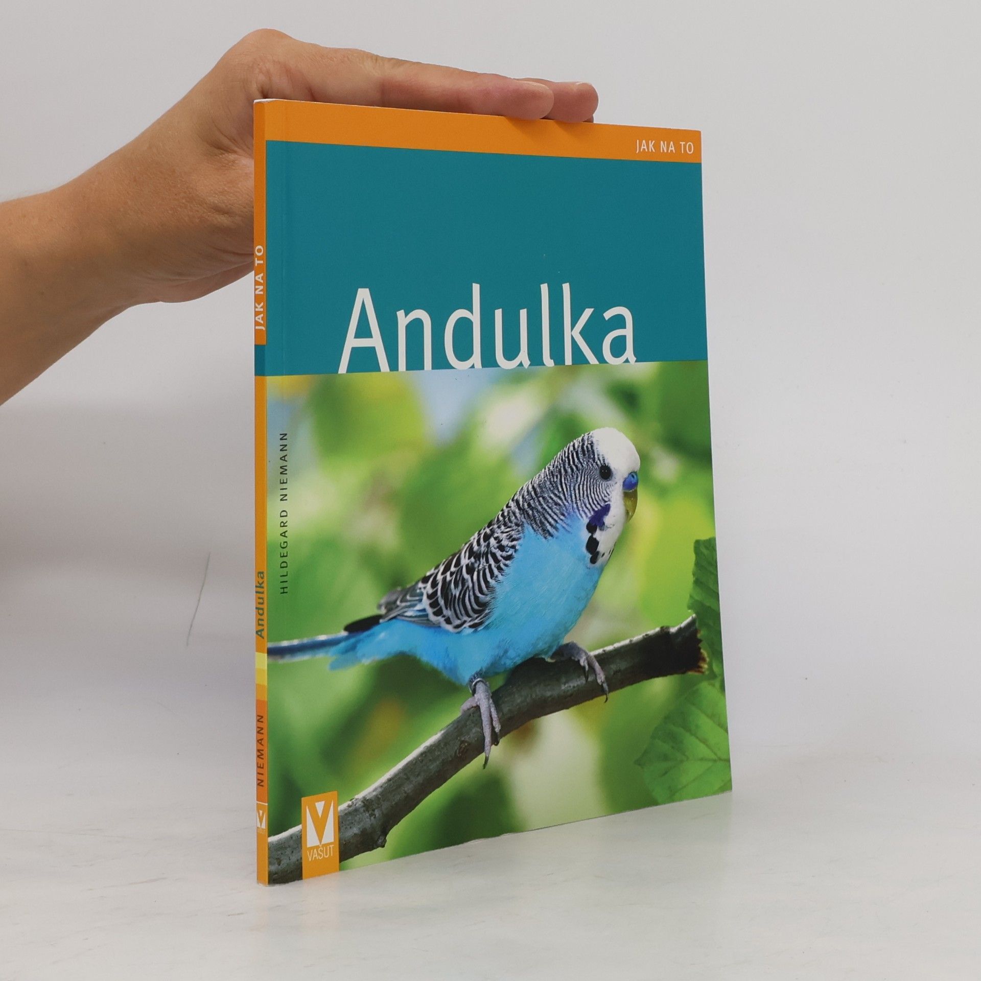 Andulka