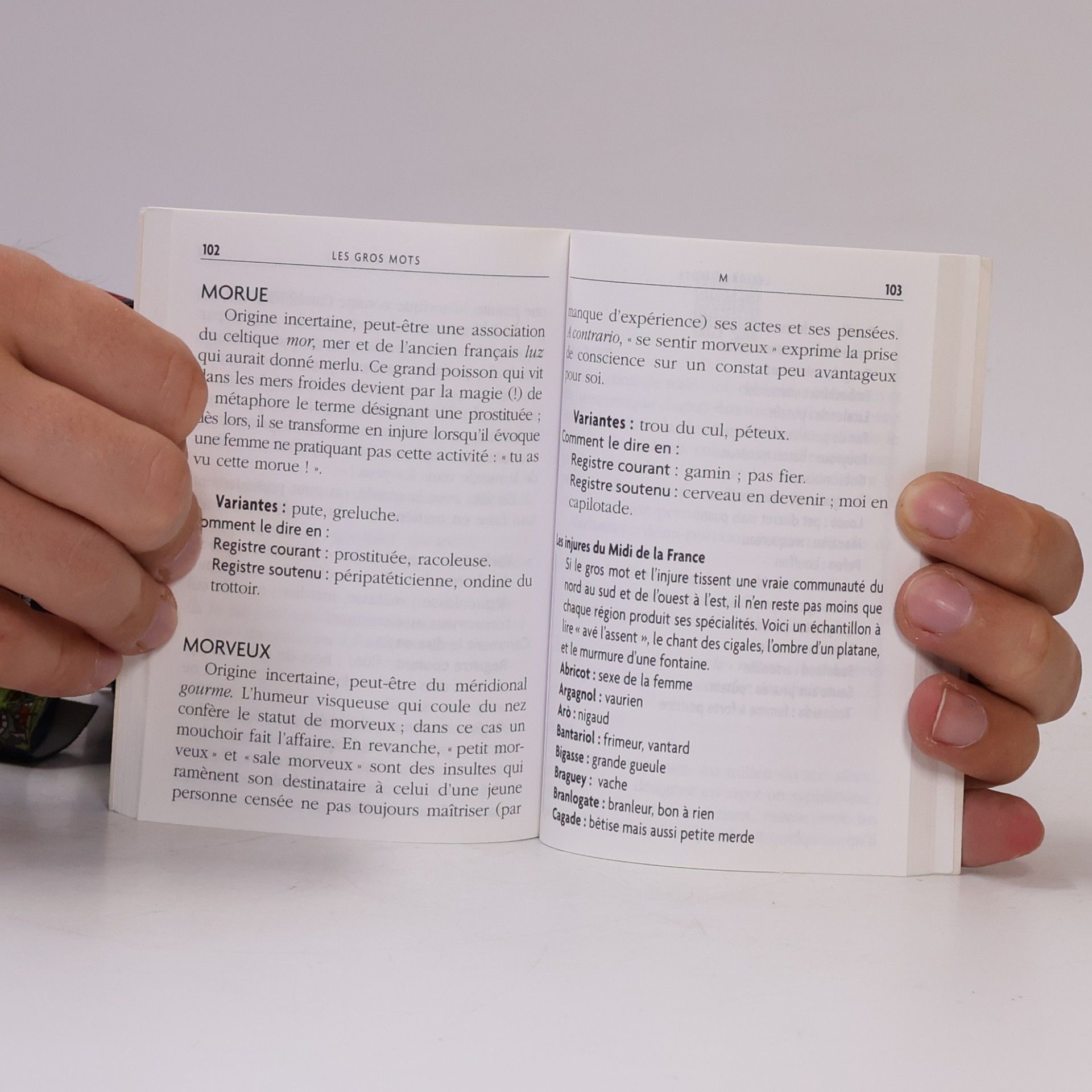 Pierre Corneille Le petit livre des gros mots