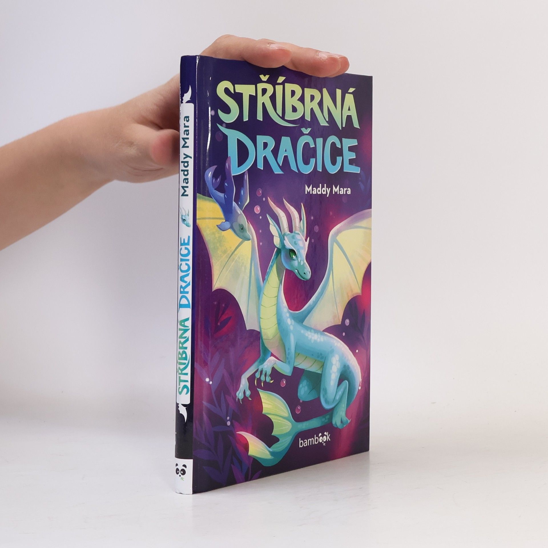 Maddy Mara Stříbrná dračice