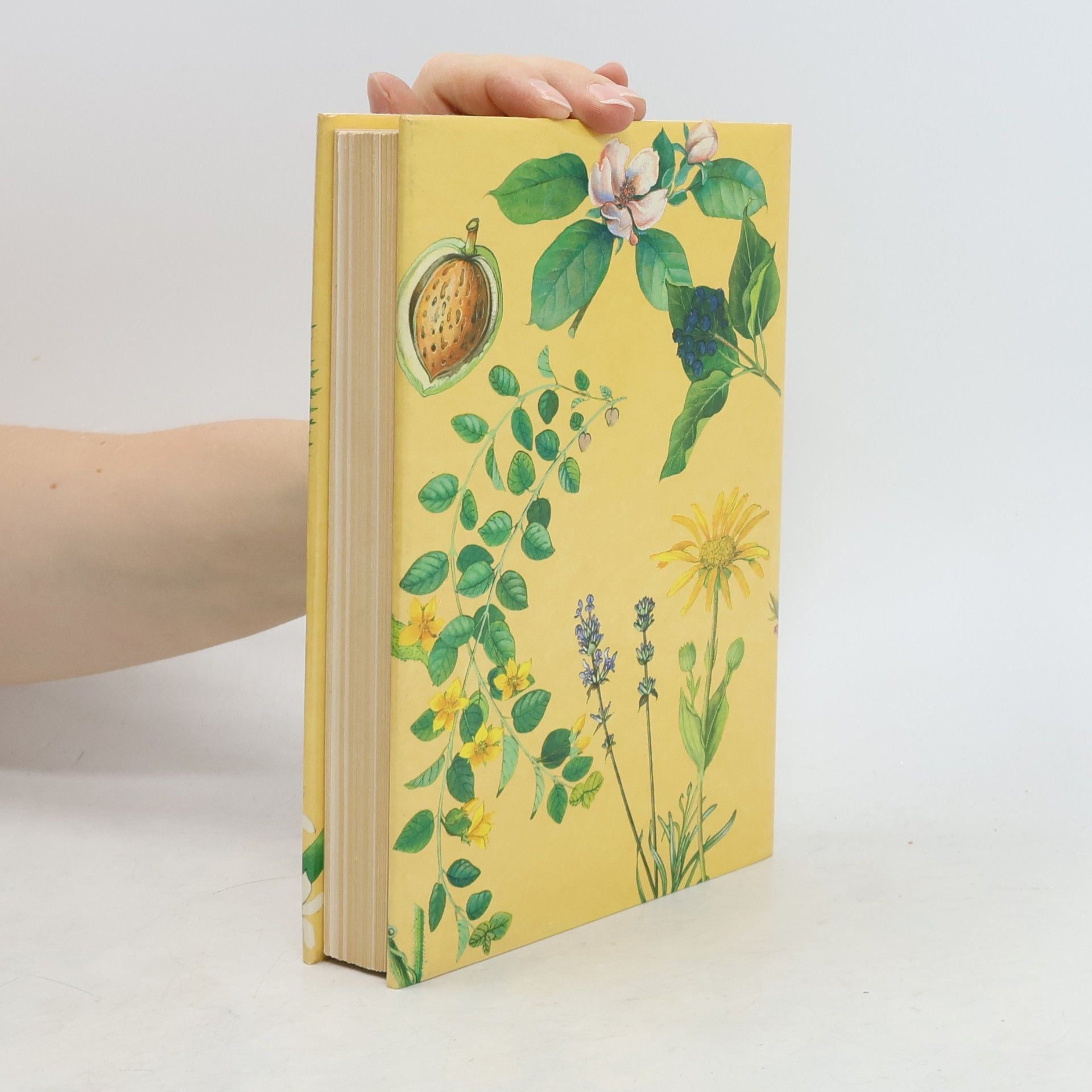 Bohumír Hlava A guide in colour to plants for natural beauty care