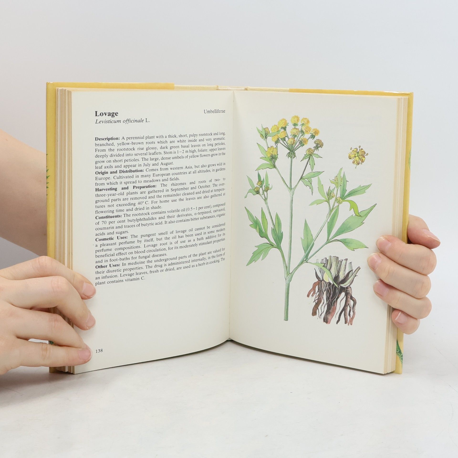 Bohumír Hlava A guide in colour to plants for natural beauty care