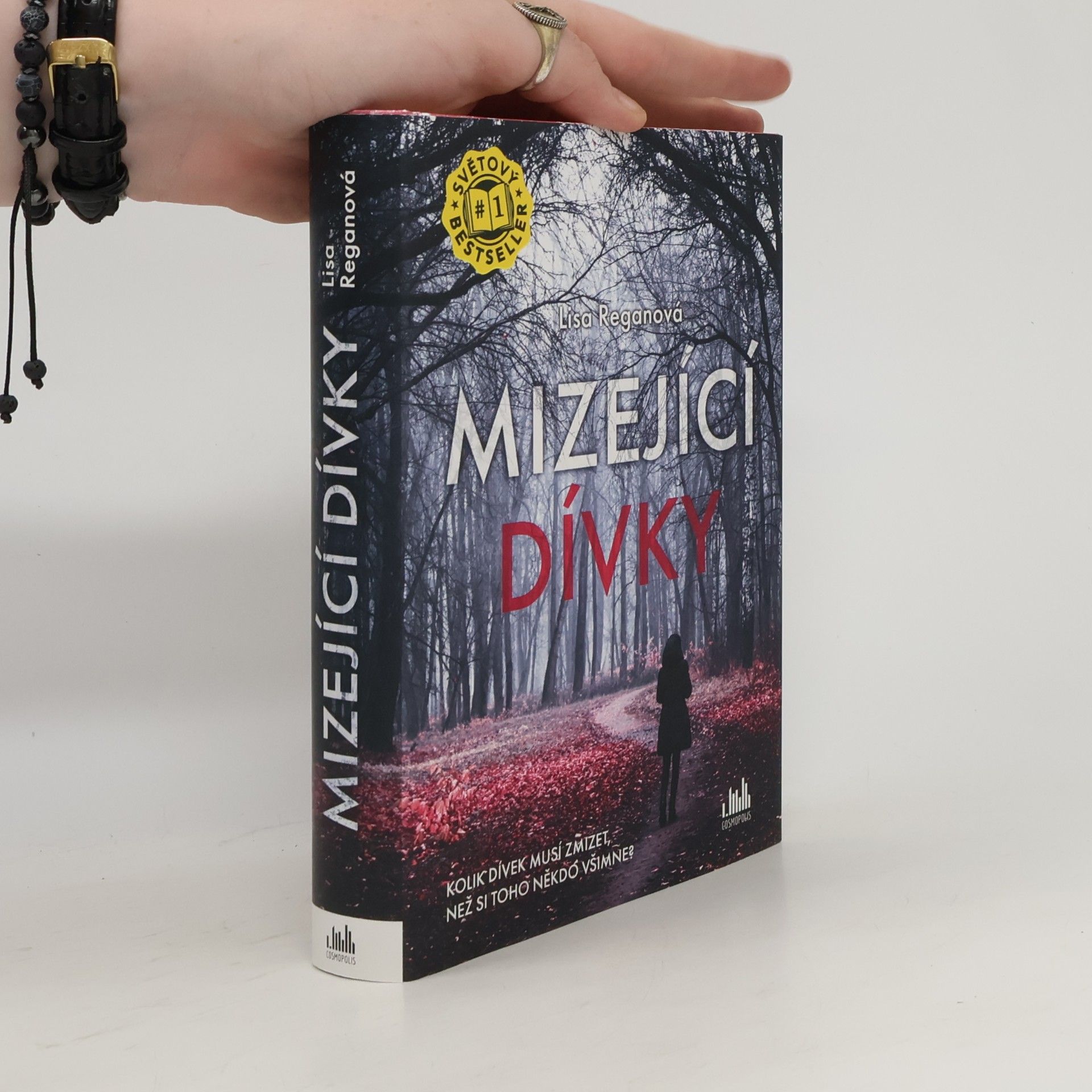 Lisa Regan Mizející dívky