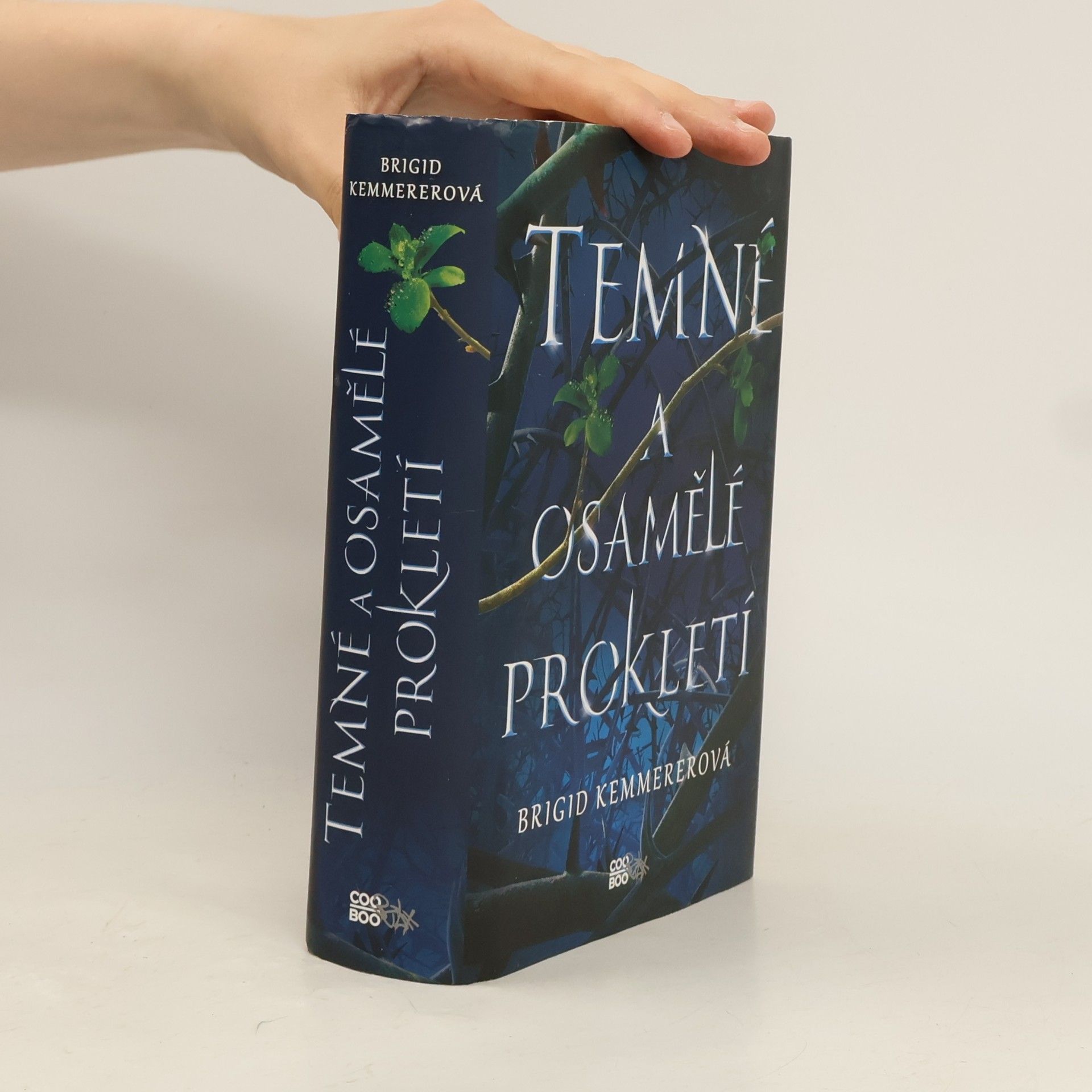 Brigid Kemmerer Temné a osamělé prokletí