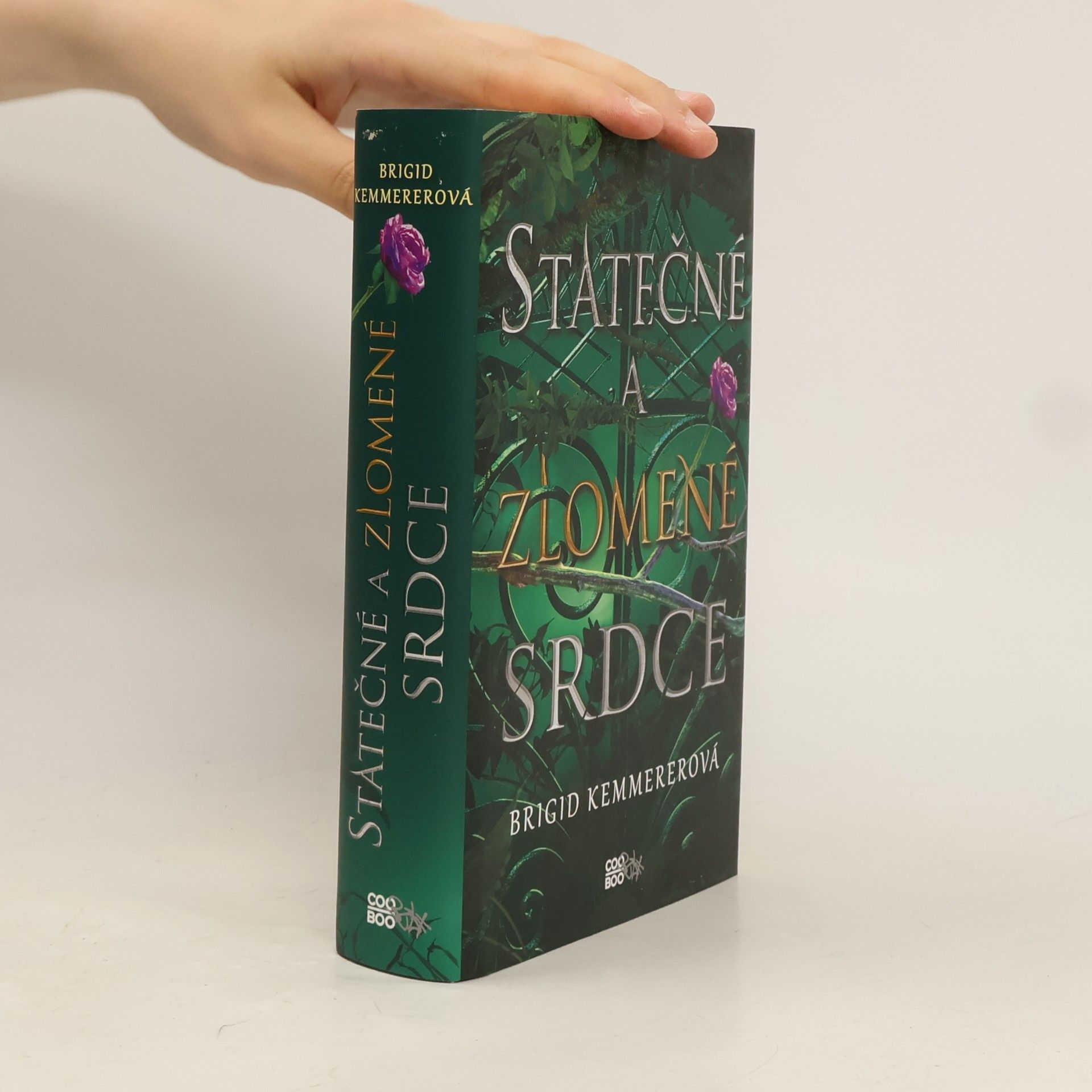 Brigid Kemmerer Statečné a zlomené srdce
