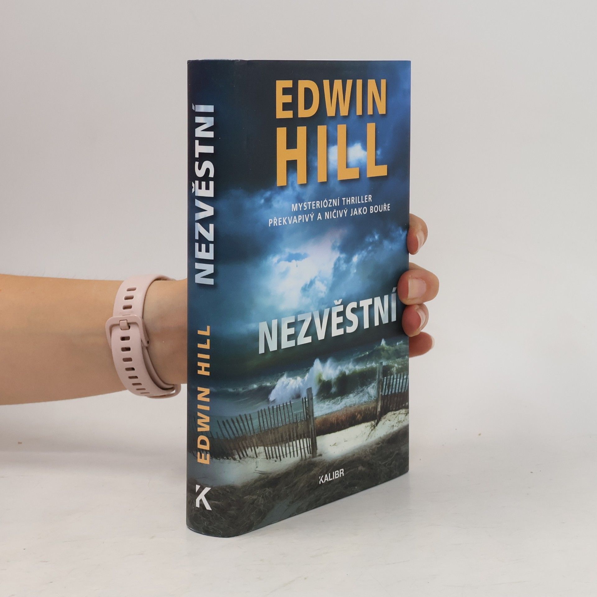 Edwin Hill Nezvěstní