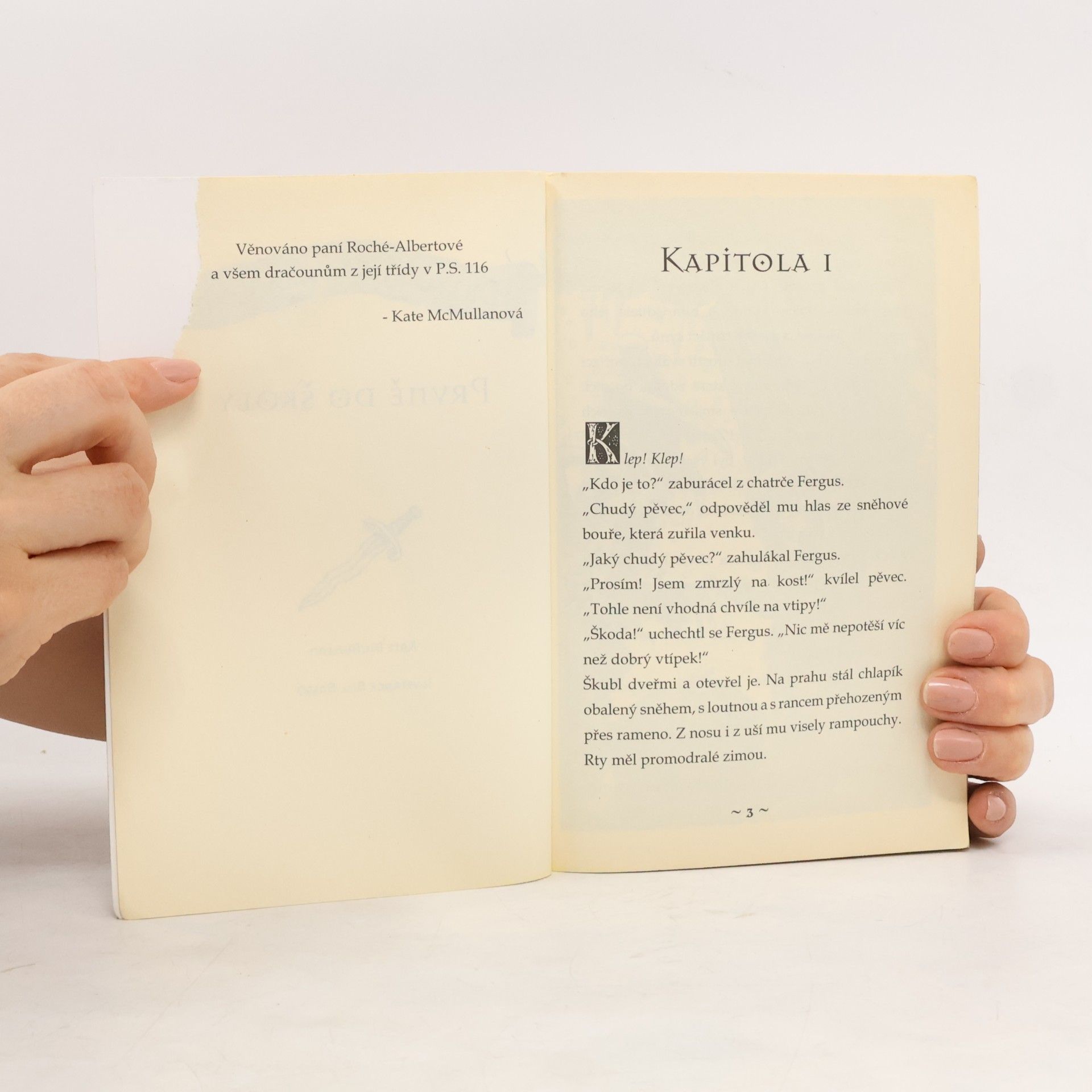 Kate McMullan Drakobijecká akademie. I, Prvně do školy