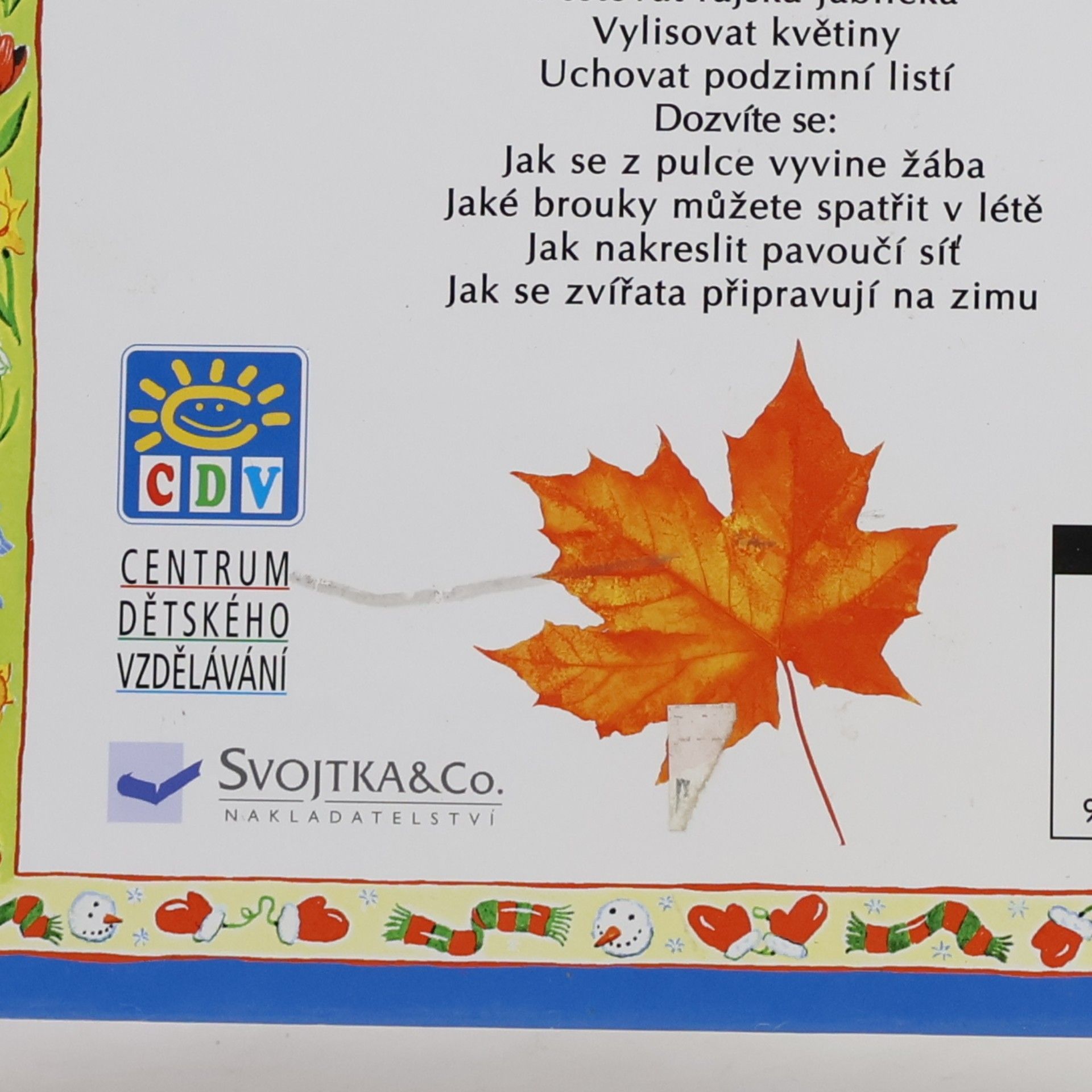 Angela Wilkes Hrajeme si celý rok. Průvodce naší přírodou. Svět kolem nás v ročních obdobích