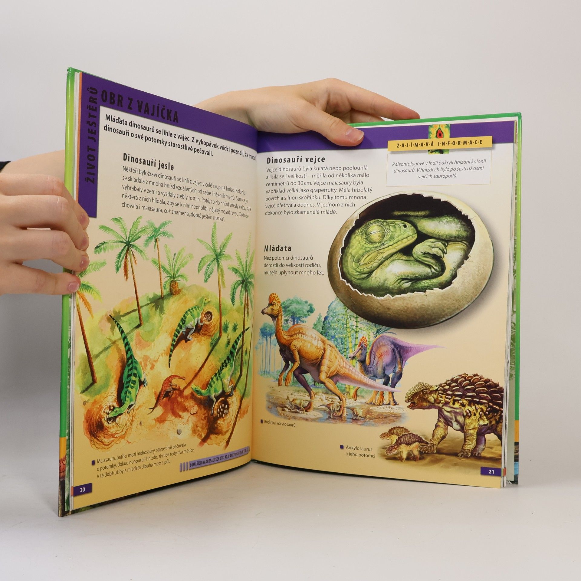 Barbara Majewska Dinosauři : encyklopedie pro děti ve věku 7-10 let