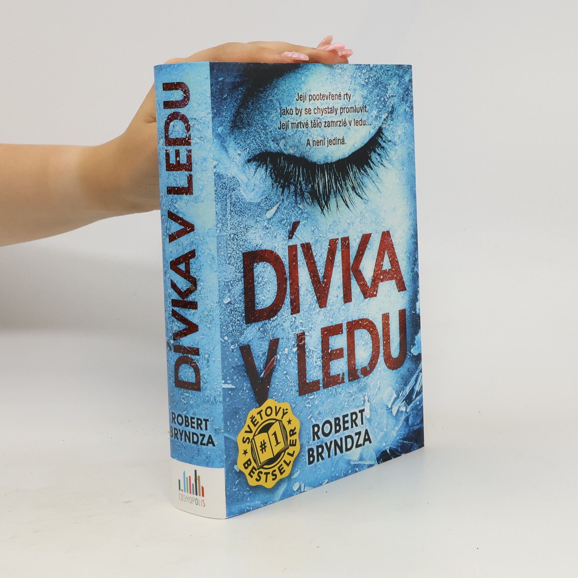 Robert Bryndza Dívka v ledu
