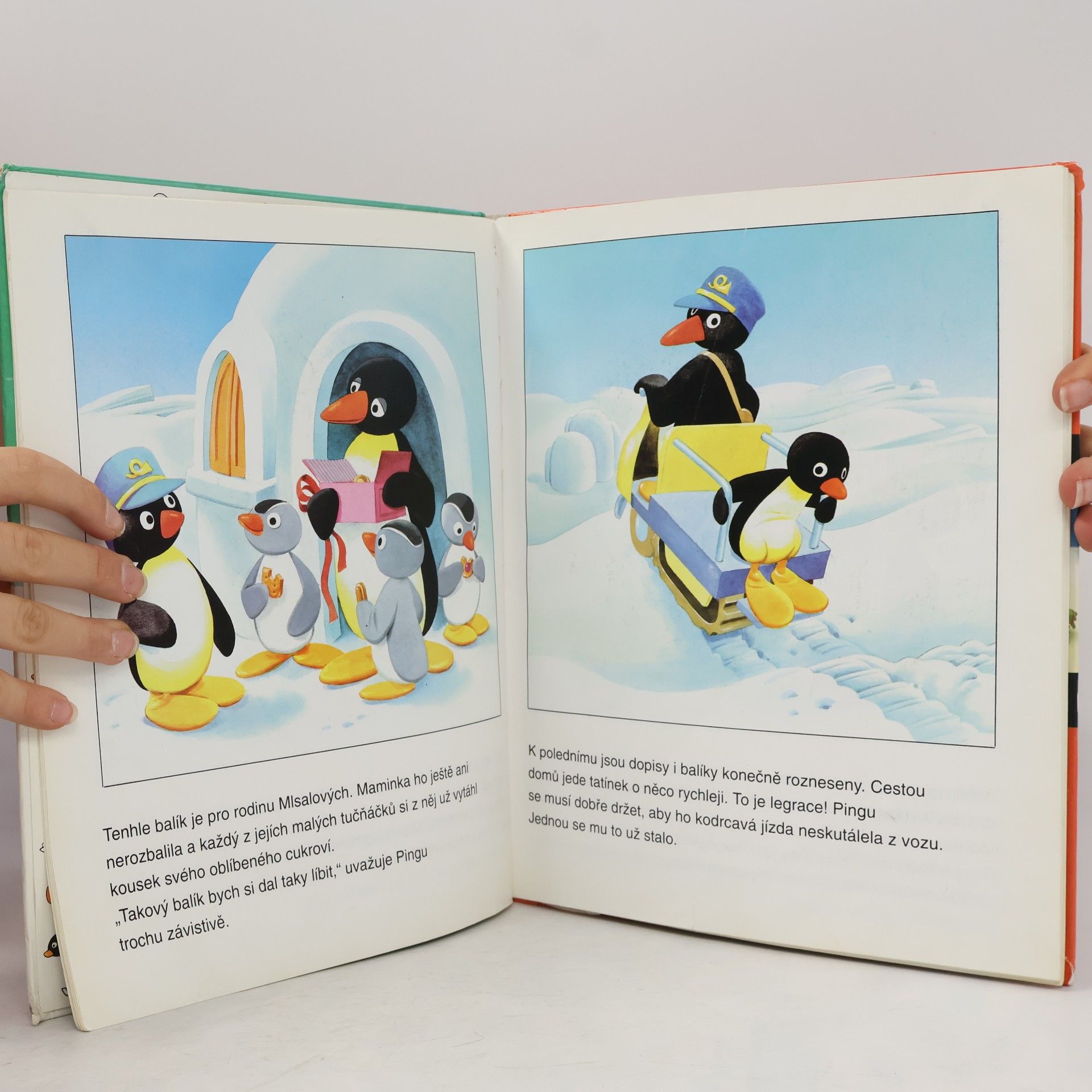 Sibylle Heer von Flüe Tučňáček Pingu a jeho rodina
