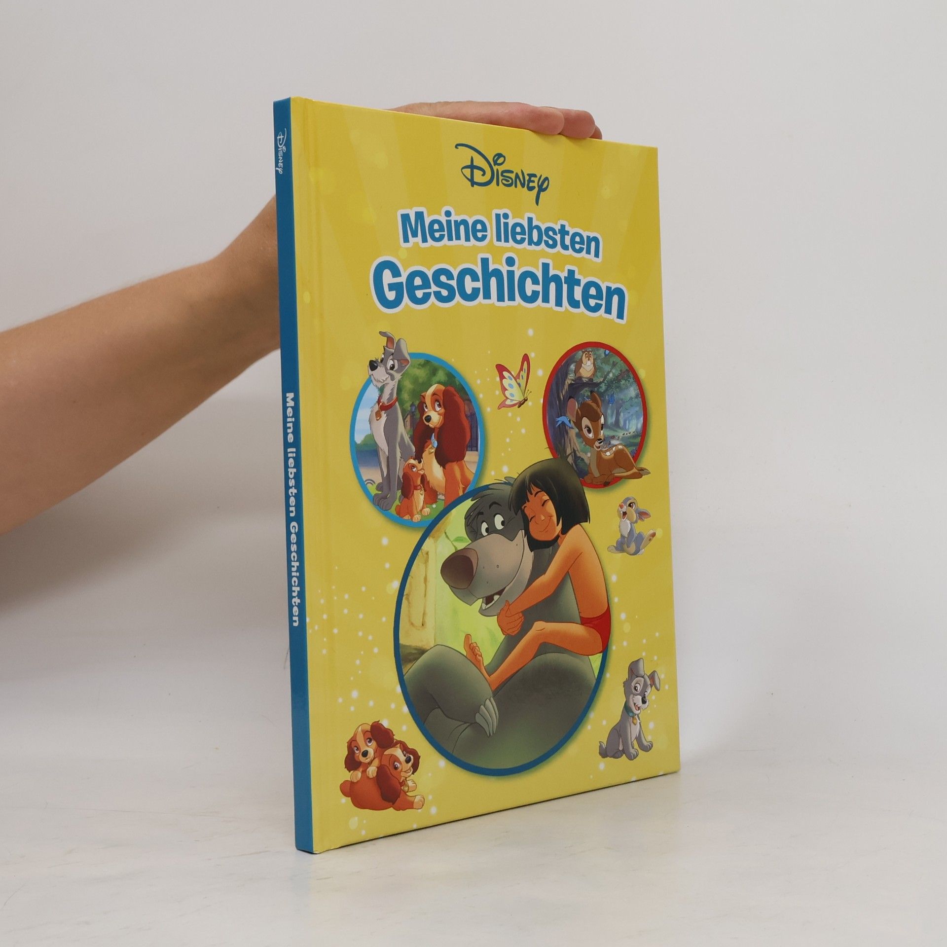 Auteurscollectief Meine liebsten Geschichten