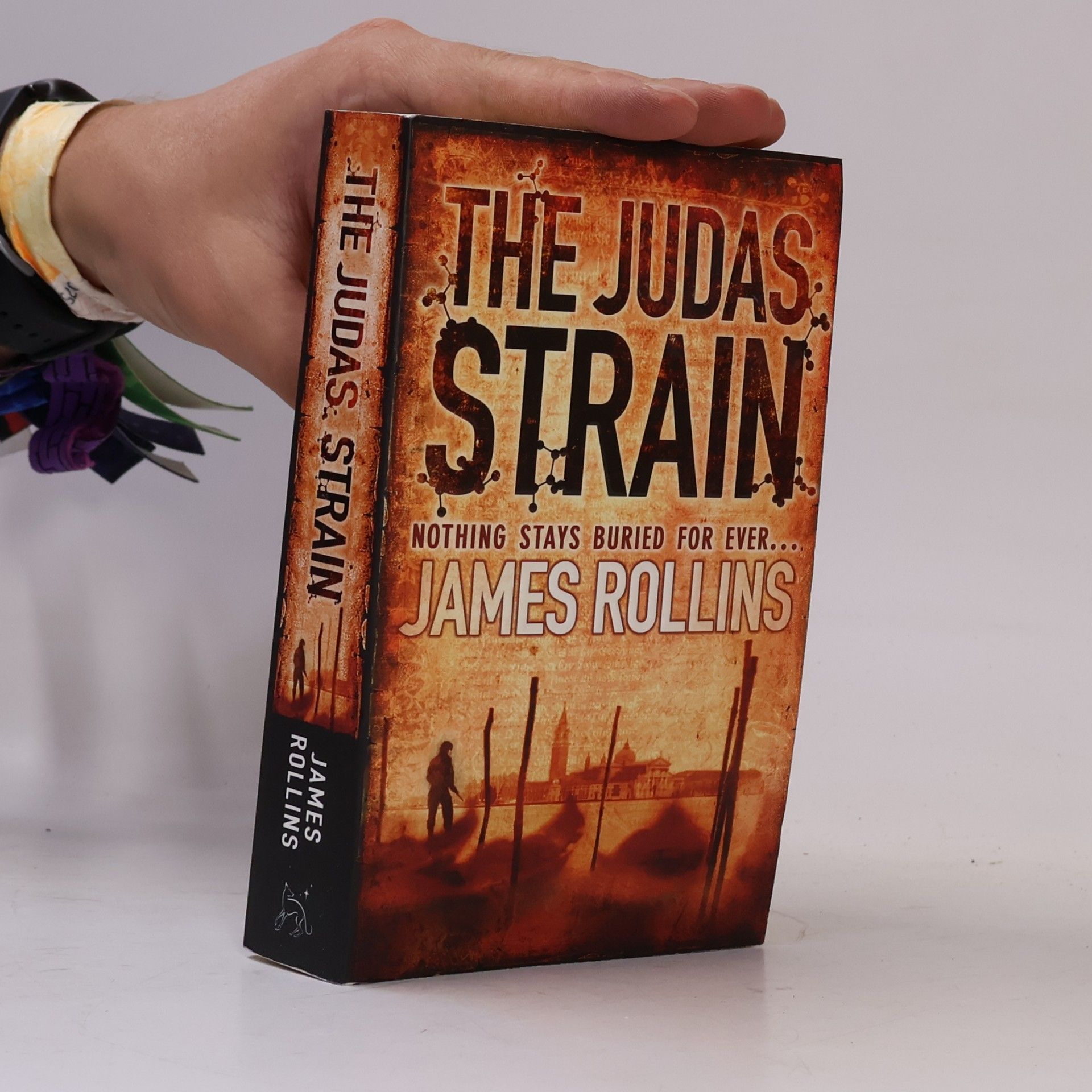 James Rollins The Judas strain