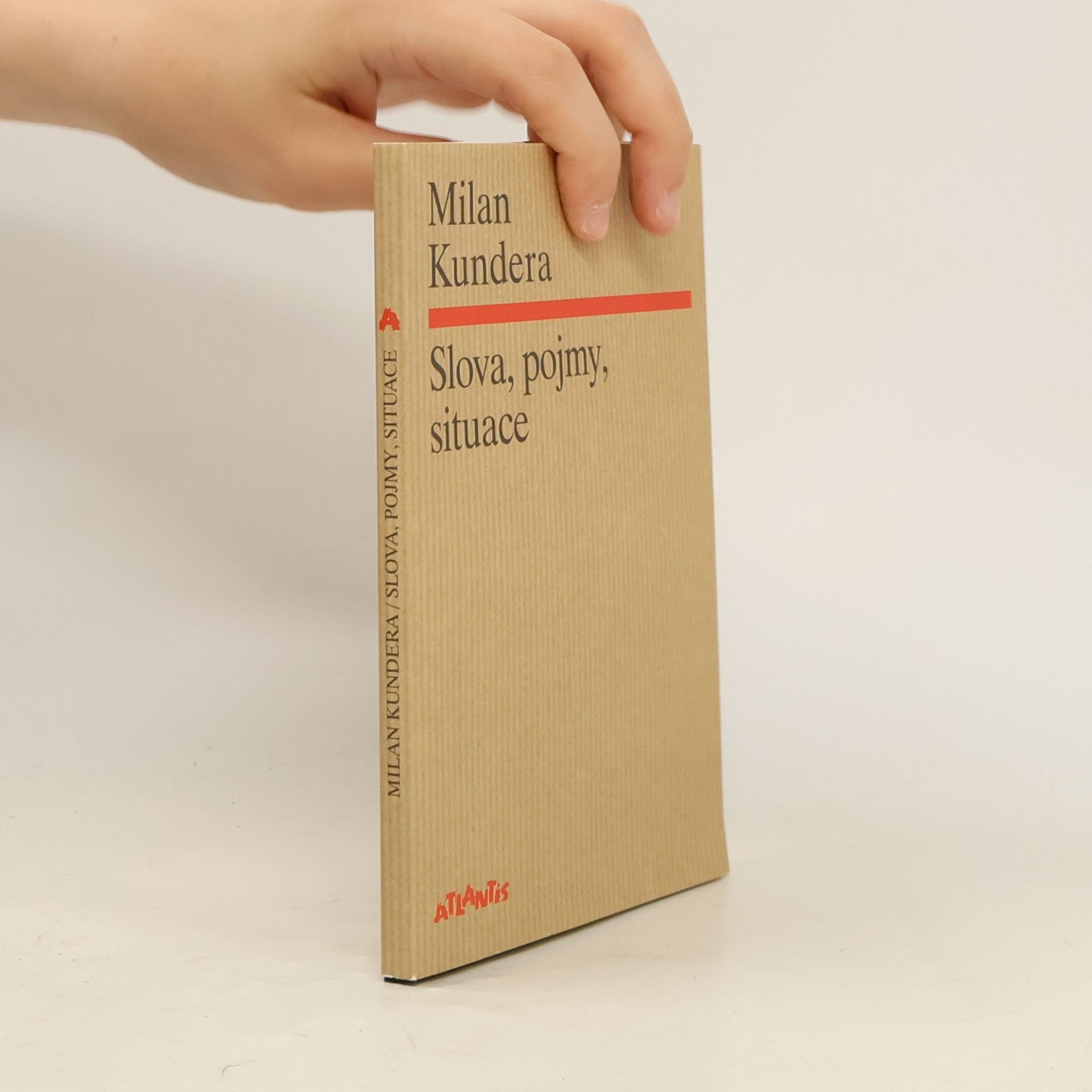 Milan Kundera Slova, pojmy, situace