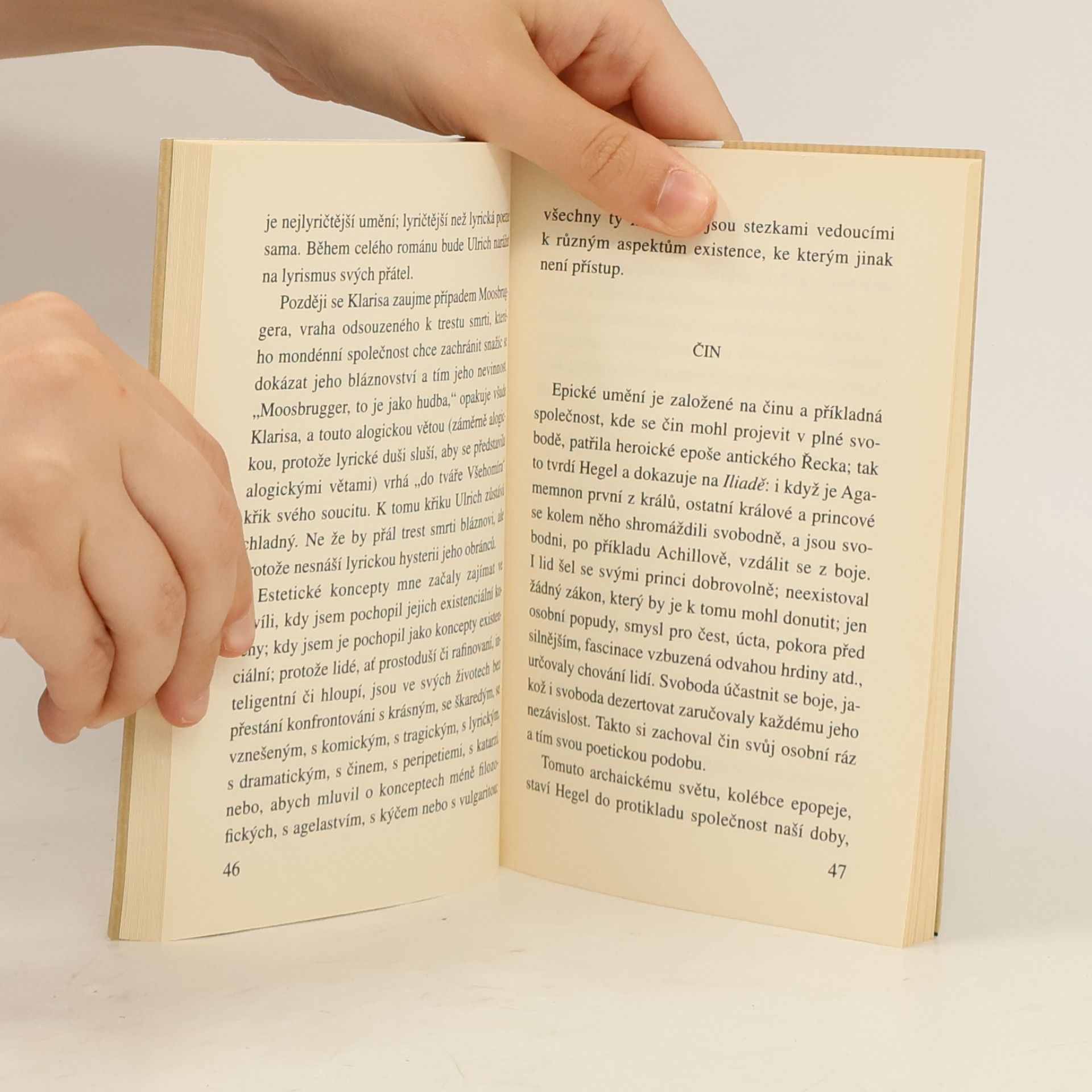 Milan Kundera Slova, pojmy, situace
