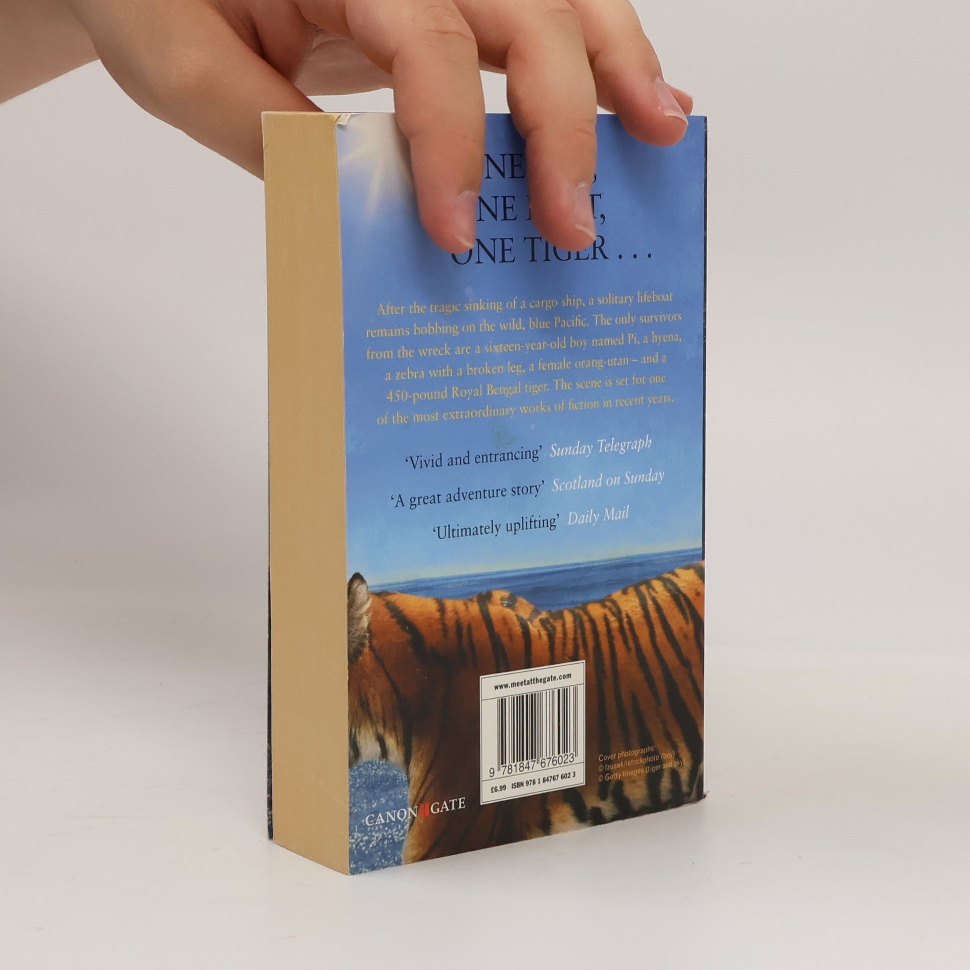 Yann Martel Life of Pi