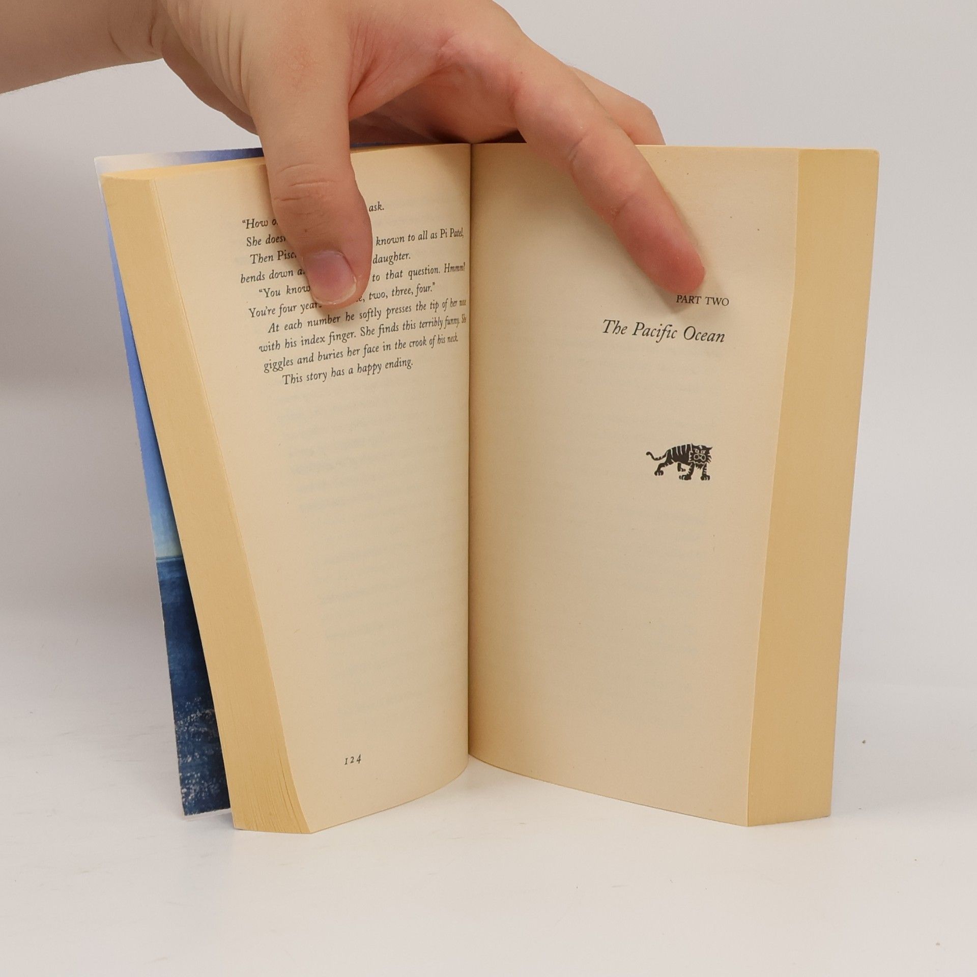 Yann Martel Life of Pi