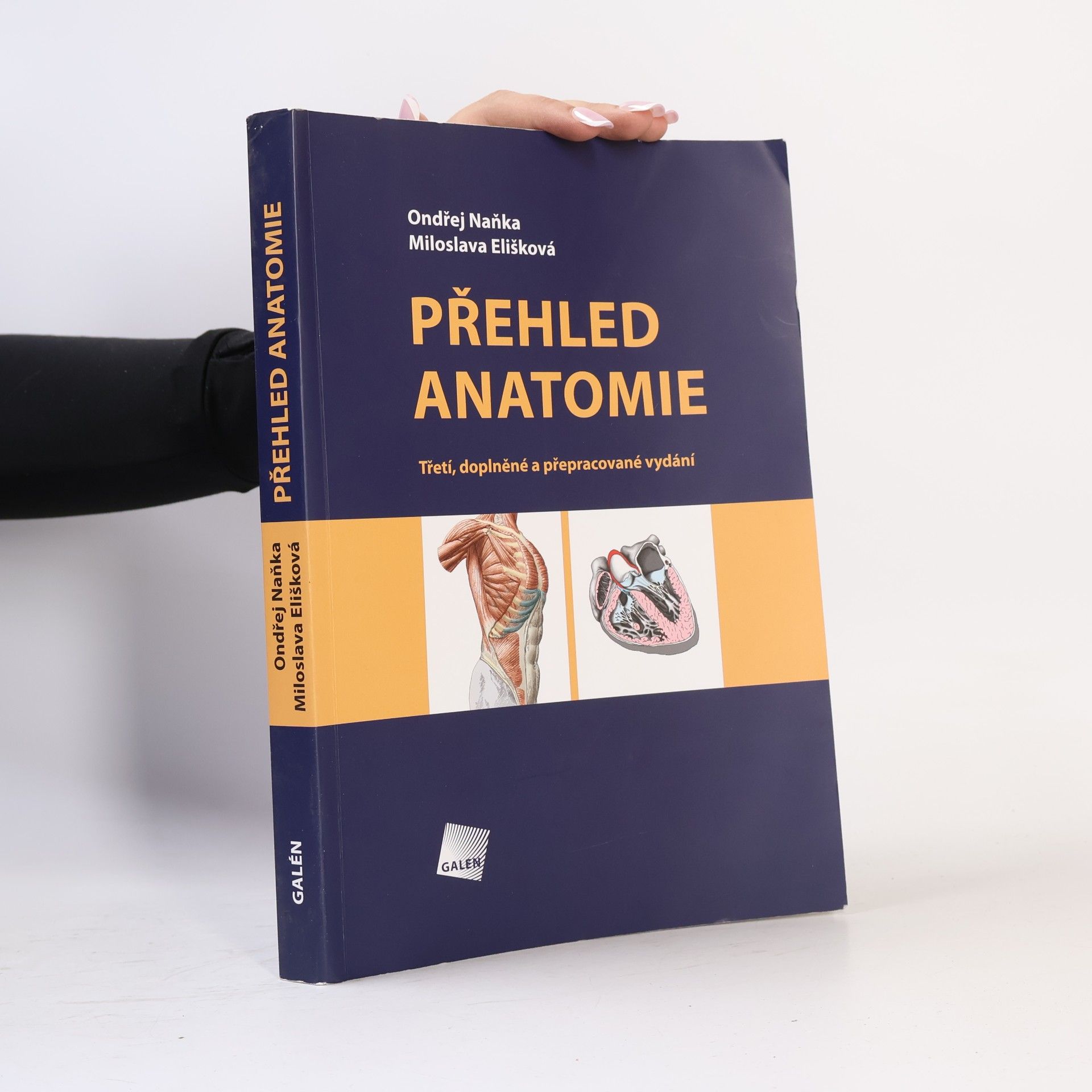 Ondřej Naňka Přehled anatomie