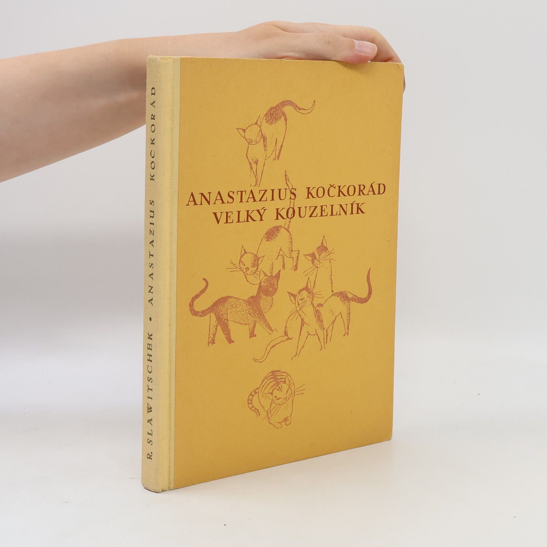 Rudolf Slawitschek Anastazius Kočkorád, velký kouzelník : veselá pohádková historie pro malé i velké