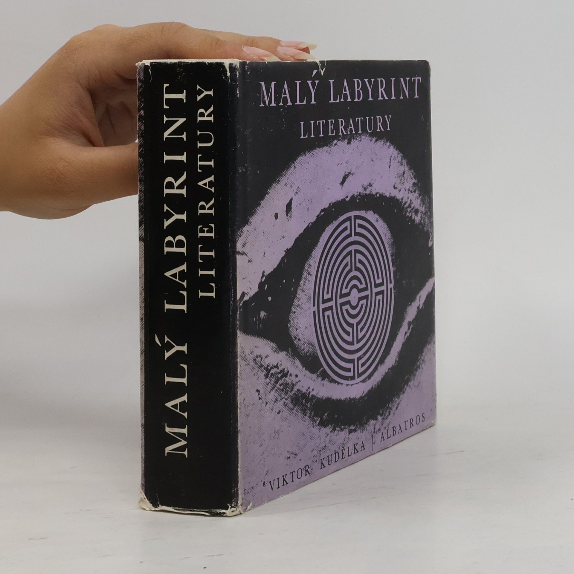 Viktor Kudělka Malý labyrint literatury