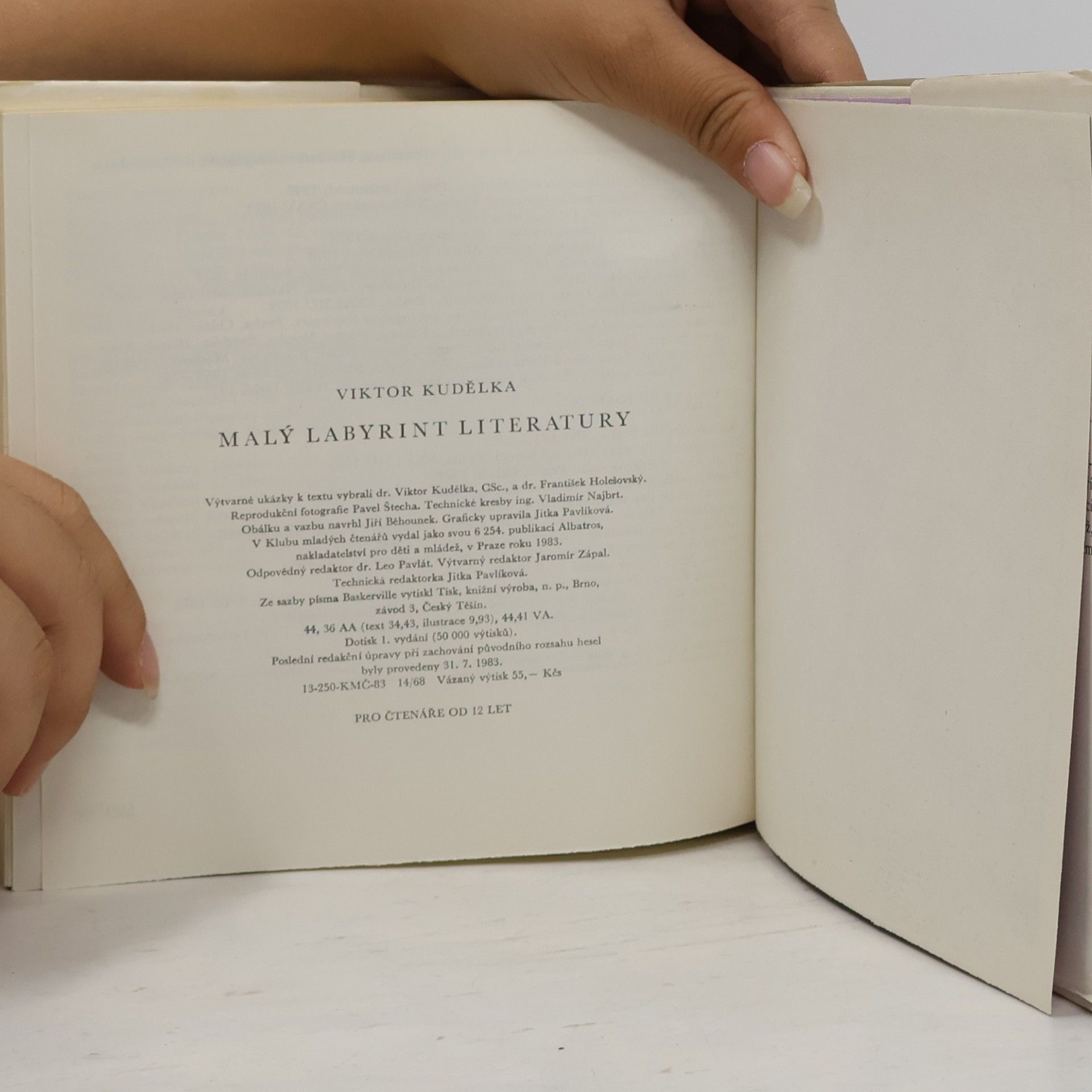 Viktor Kudělka Malý labyrint literatury