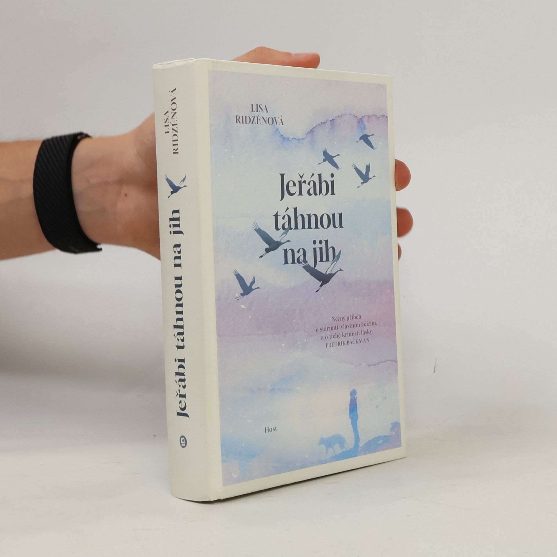 Lisa Ridzén Jeřábi táhnou na jih