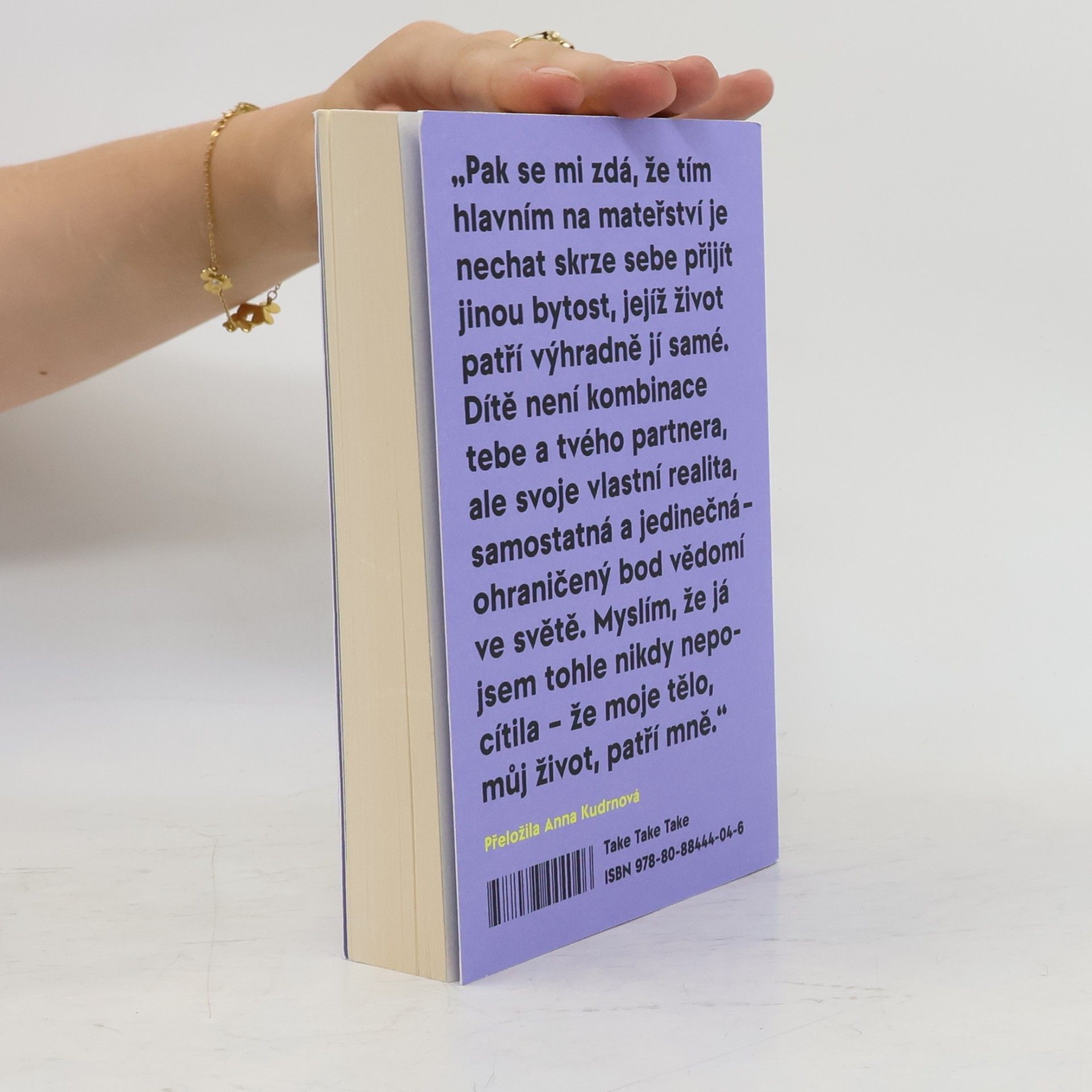 Sheila Heti Mateřství