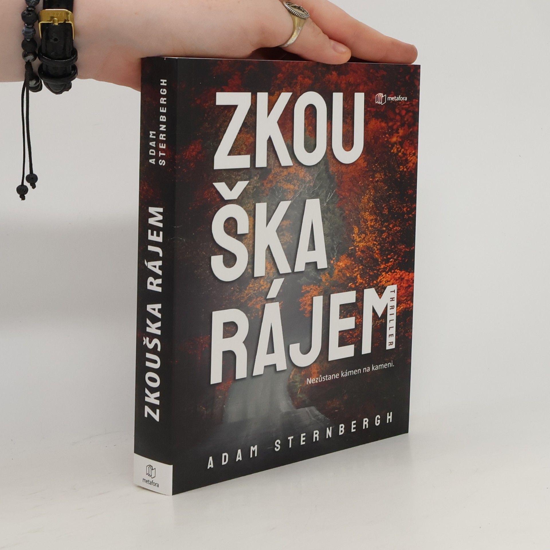 Adam Sternbergh Zkouška rájem