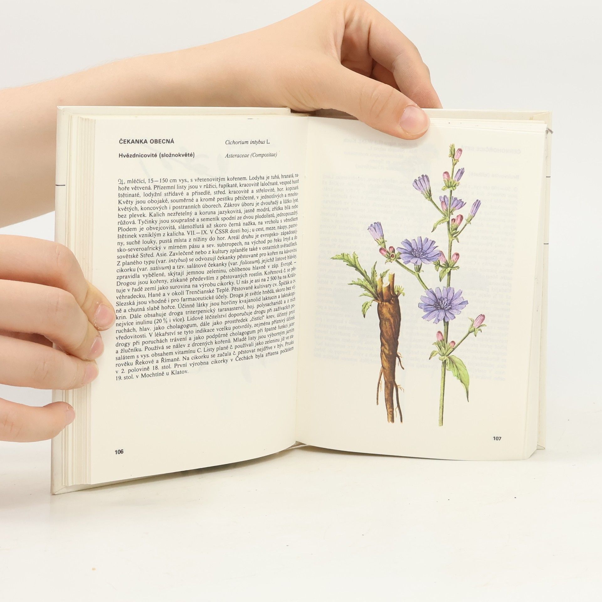 Václav Jirásek Kapesní atlas léčivých rostlin