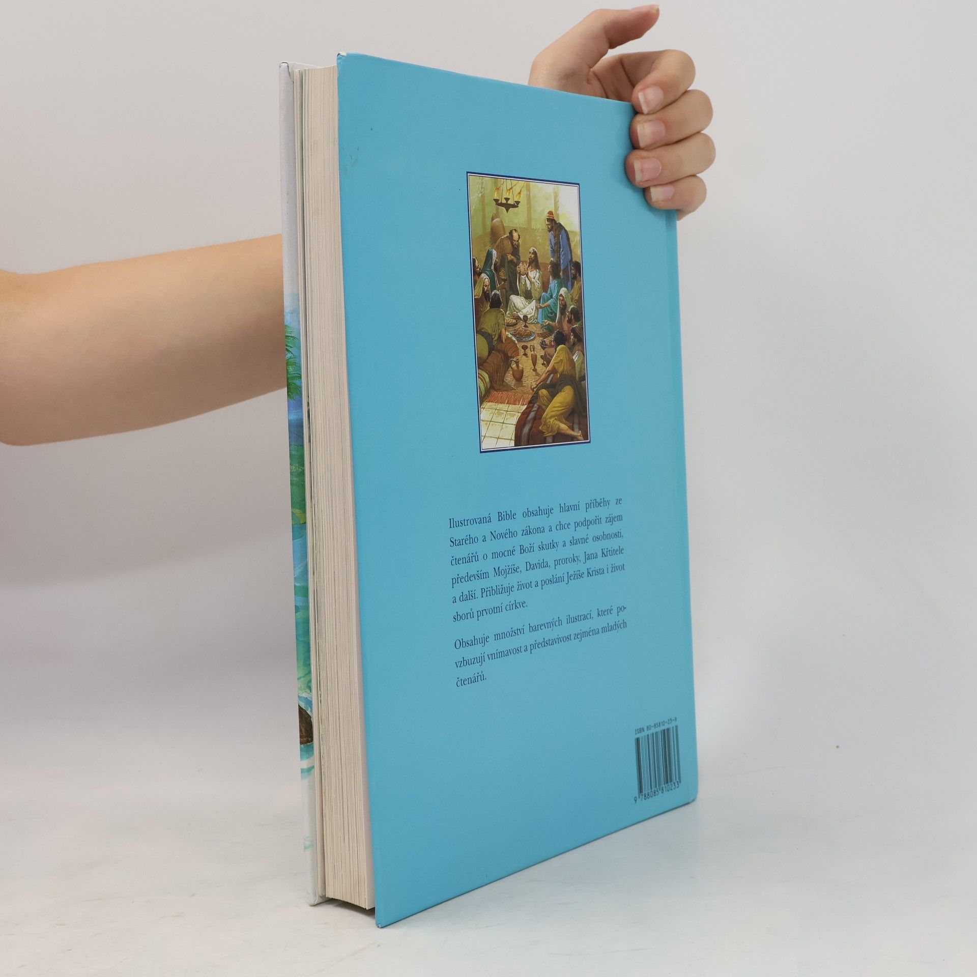 Ladislav Žilka Ilustrovaná bible Příběhy Starého a Nového zákona