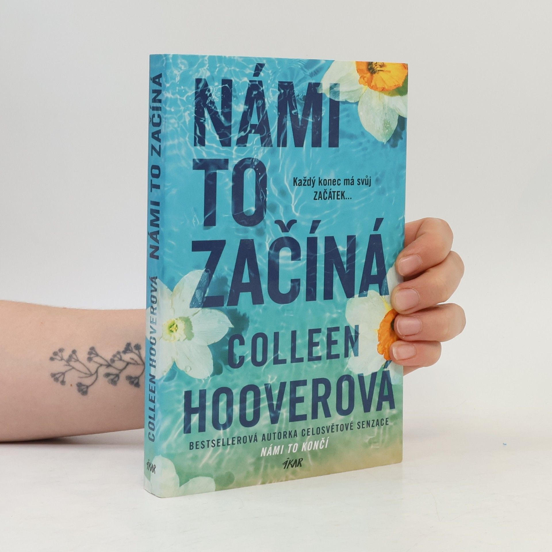 Colleen Hoover Námi to začíná