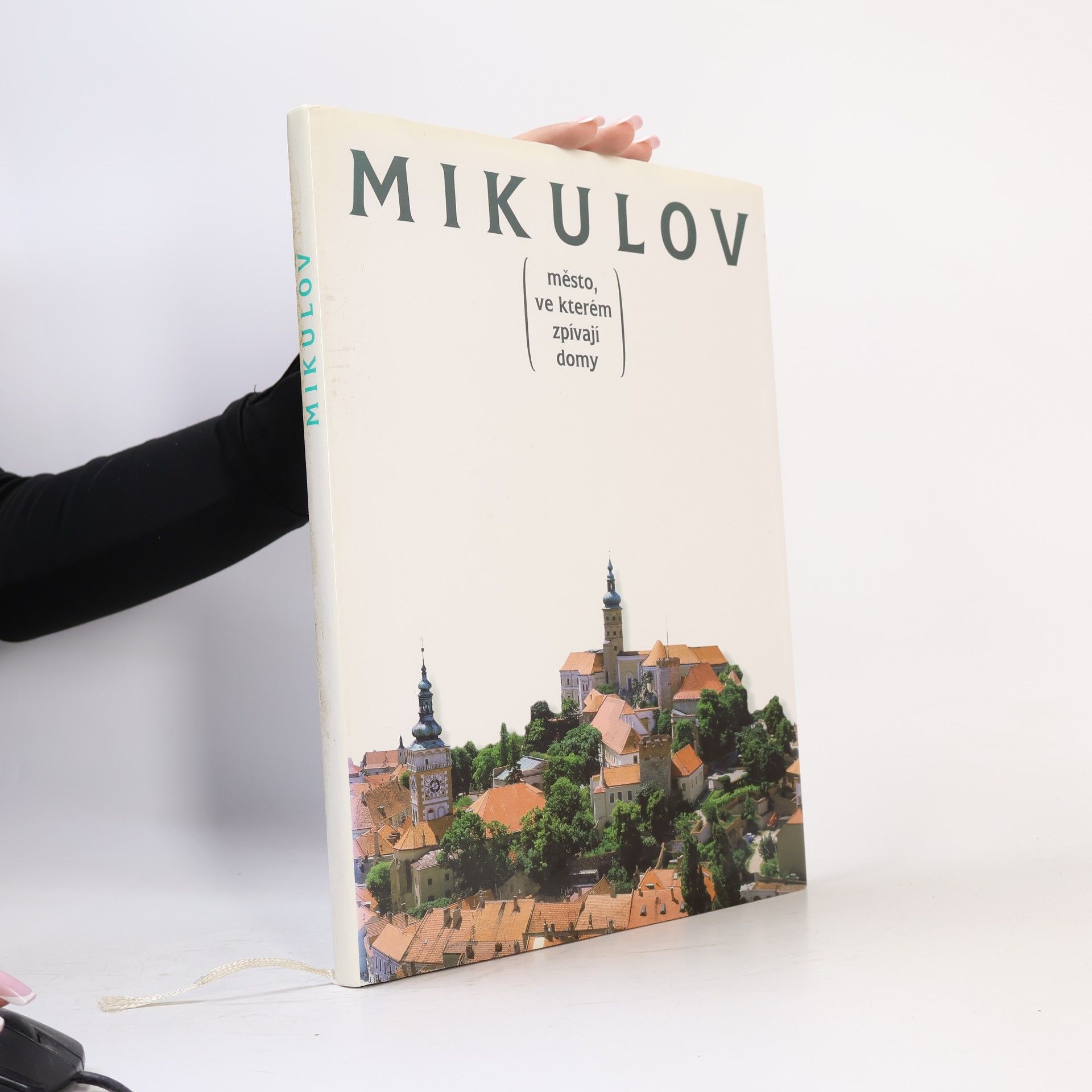 Autorenkollektiv Mikulov. Město, ve kterém zpívají domy